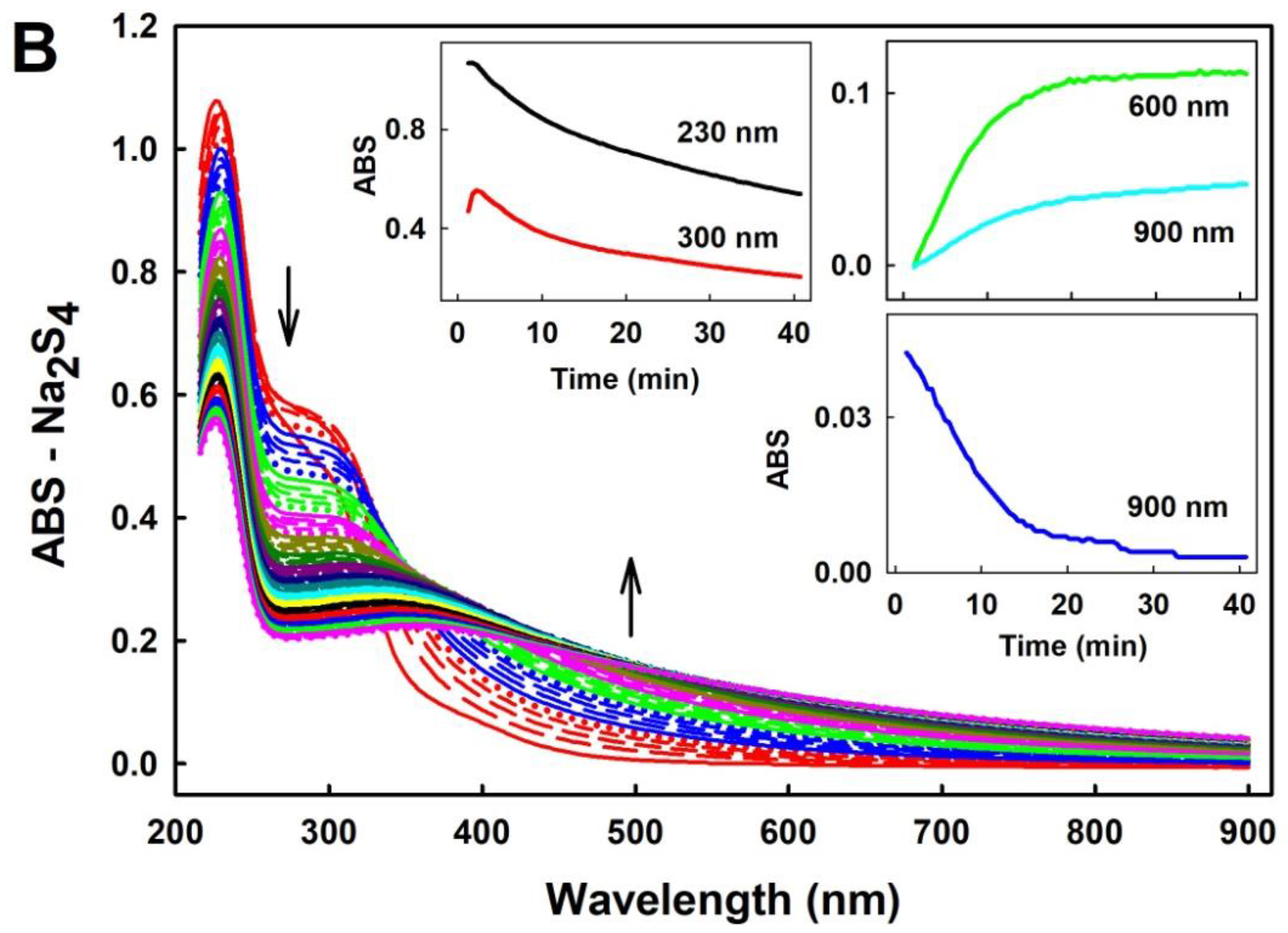 Molecules 24 01148 g002b Molecules 24 01148 g002b