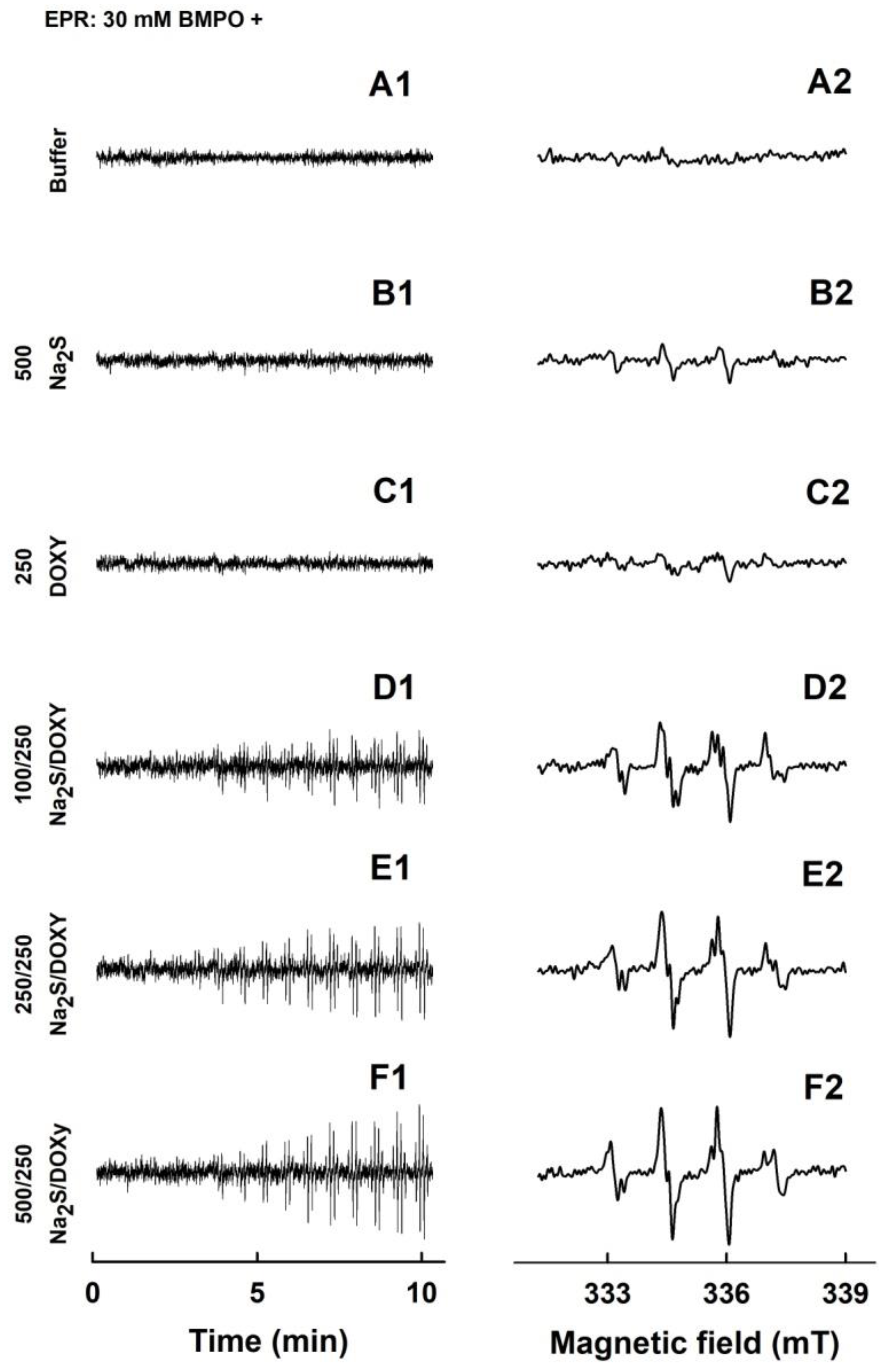 Molecules 24 01148 g004 Molecules 24 01148 g004