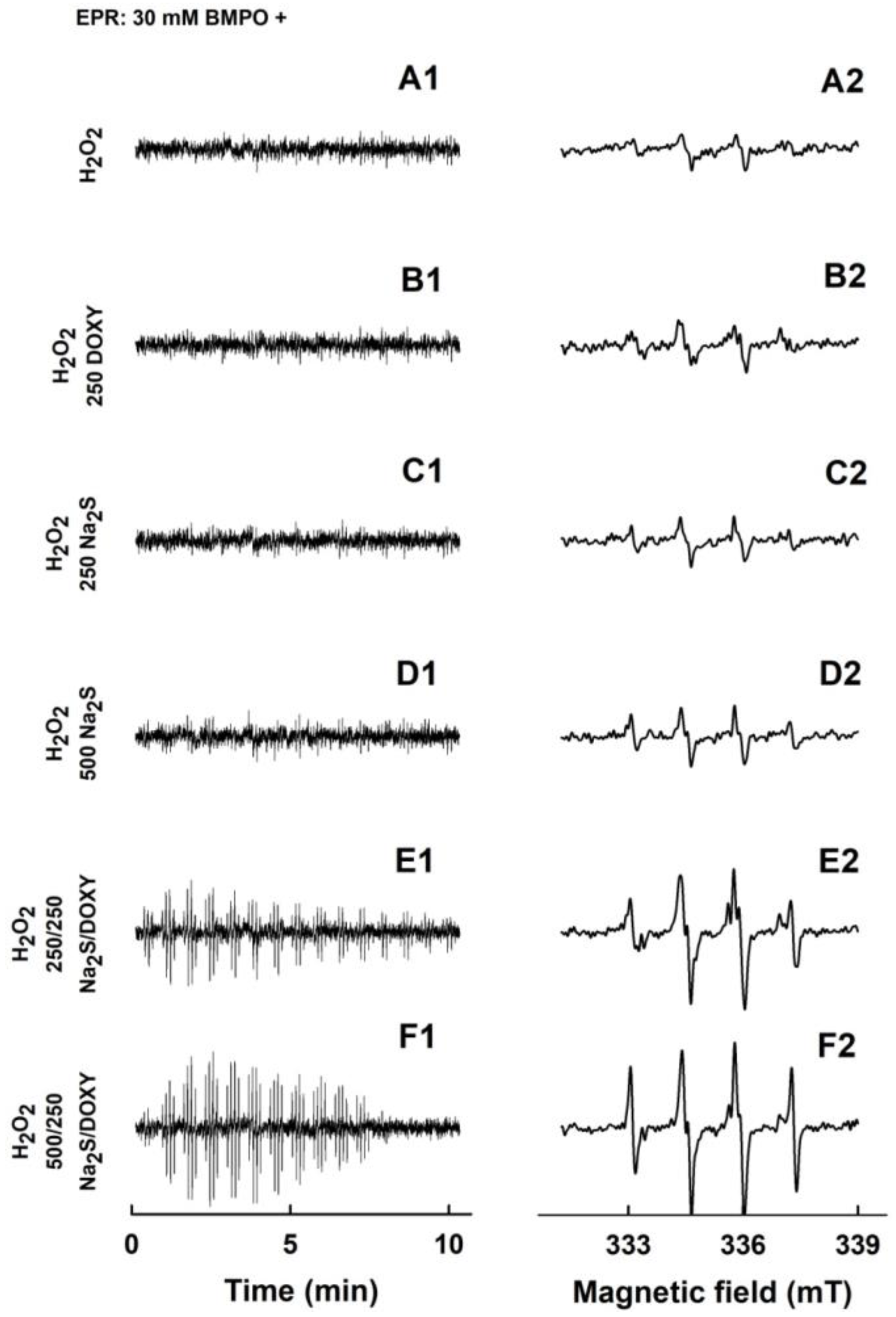 Molecules 24 01148 g007 Molecules 24 01148 g007