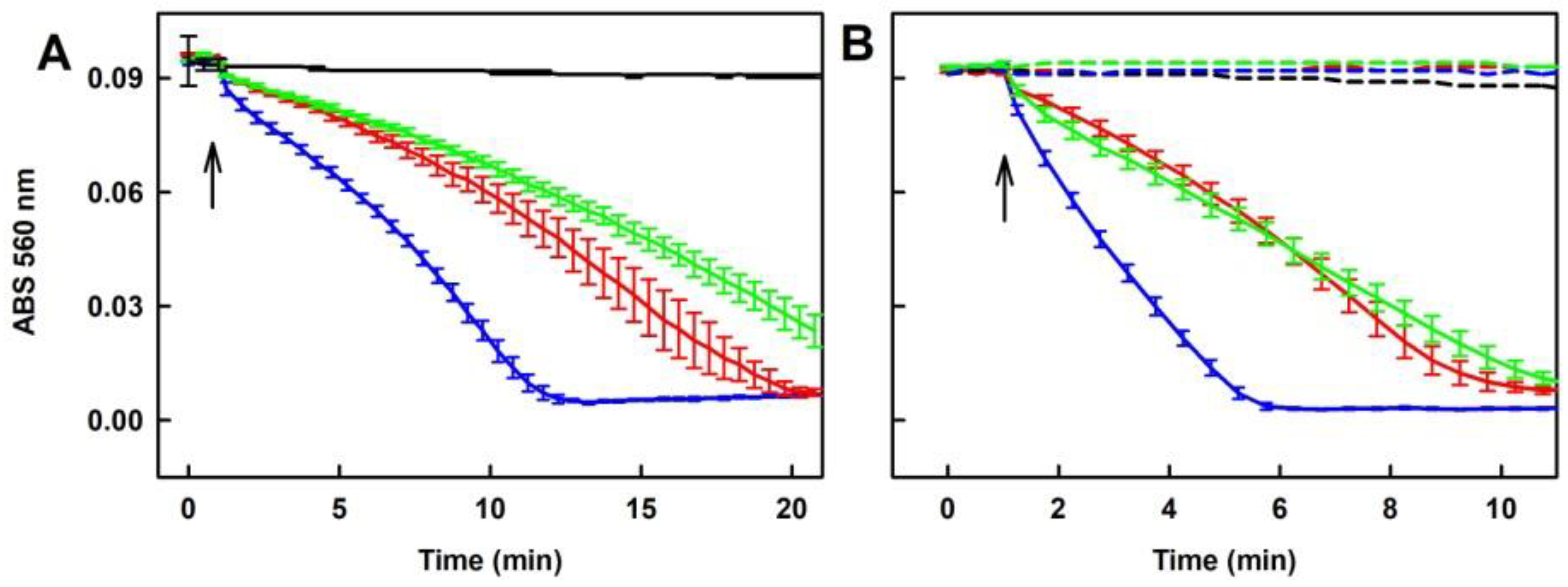 Molecules 24 01148 g009 Molecules 24 01148 g009