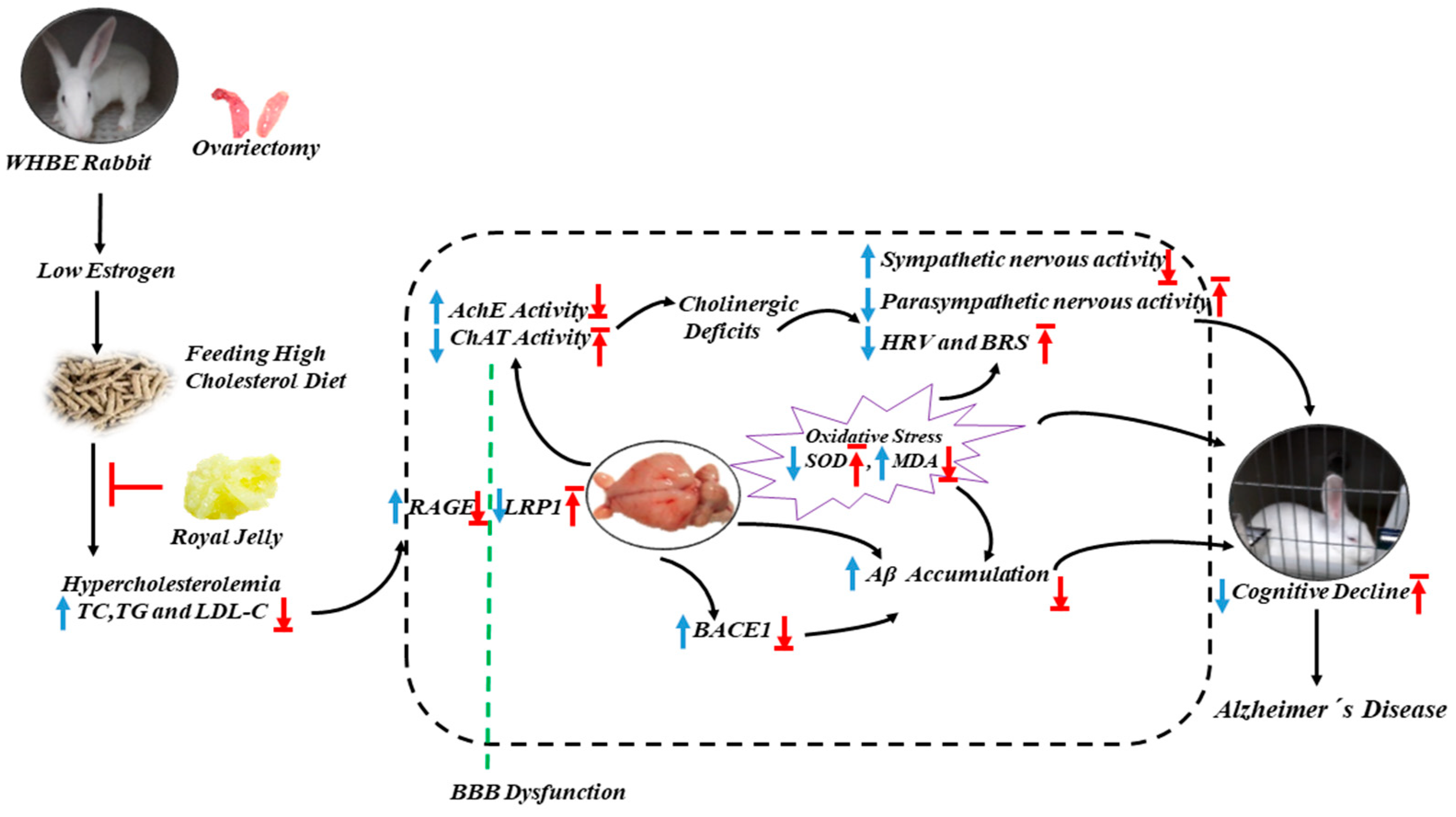 Molecules 24 01149 g006 Molecules 24 01149 g006
