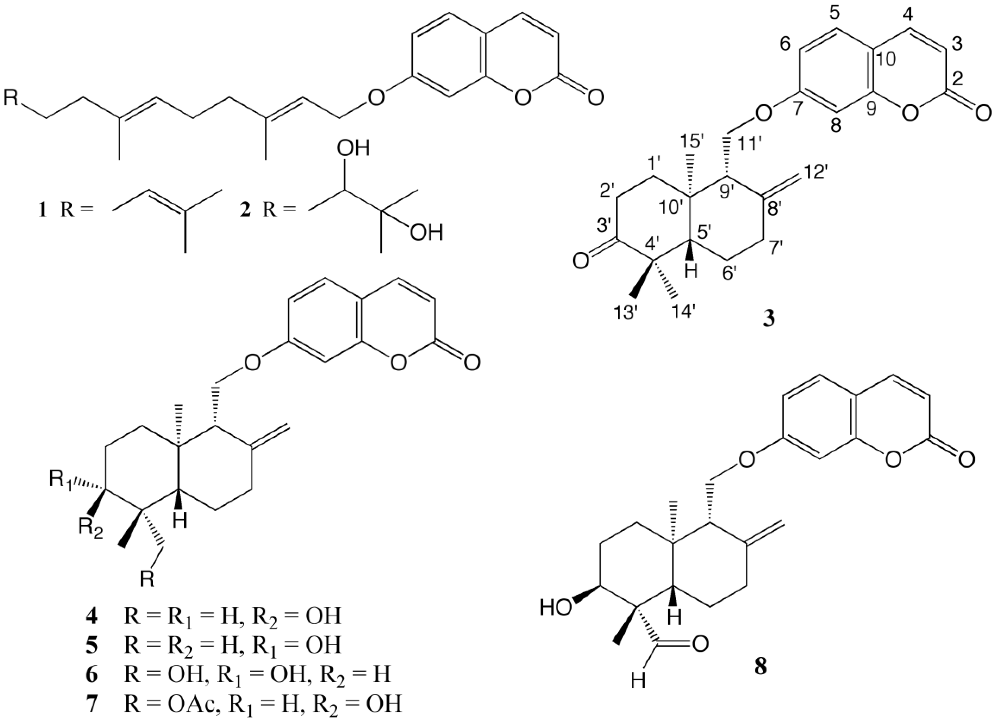 Molecules 24 01153 g001