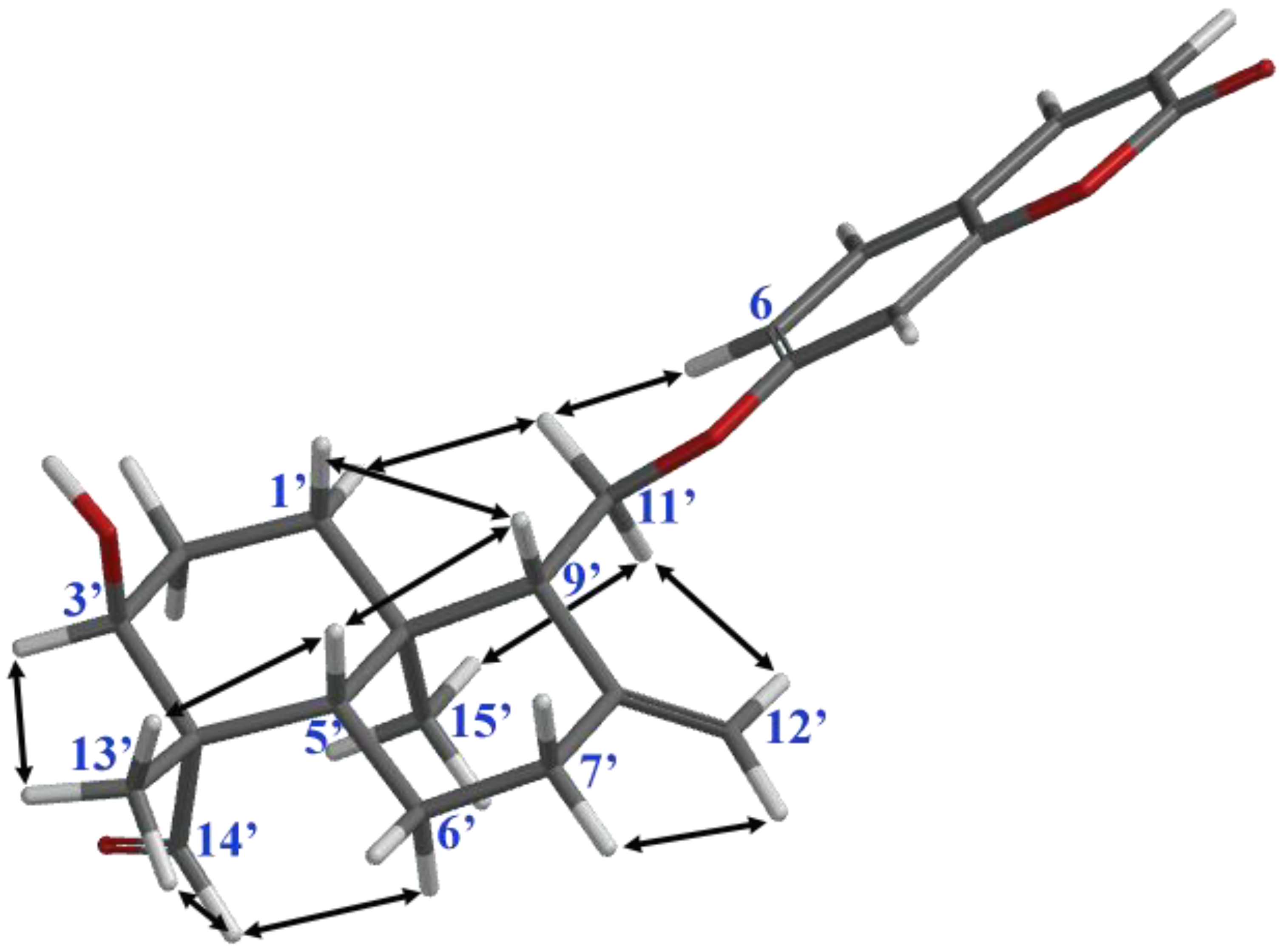 Molecules 24 01153 g003