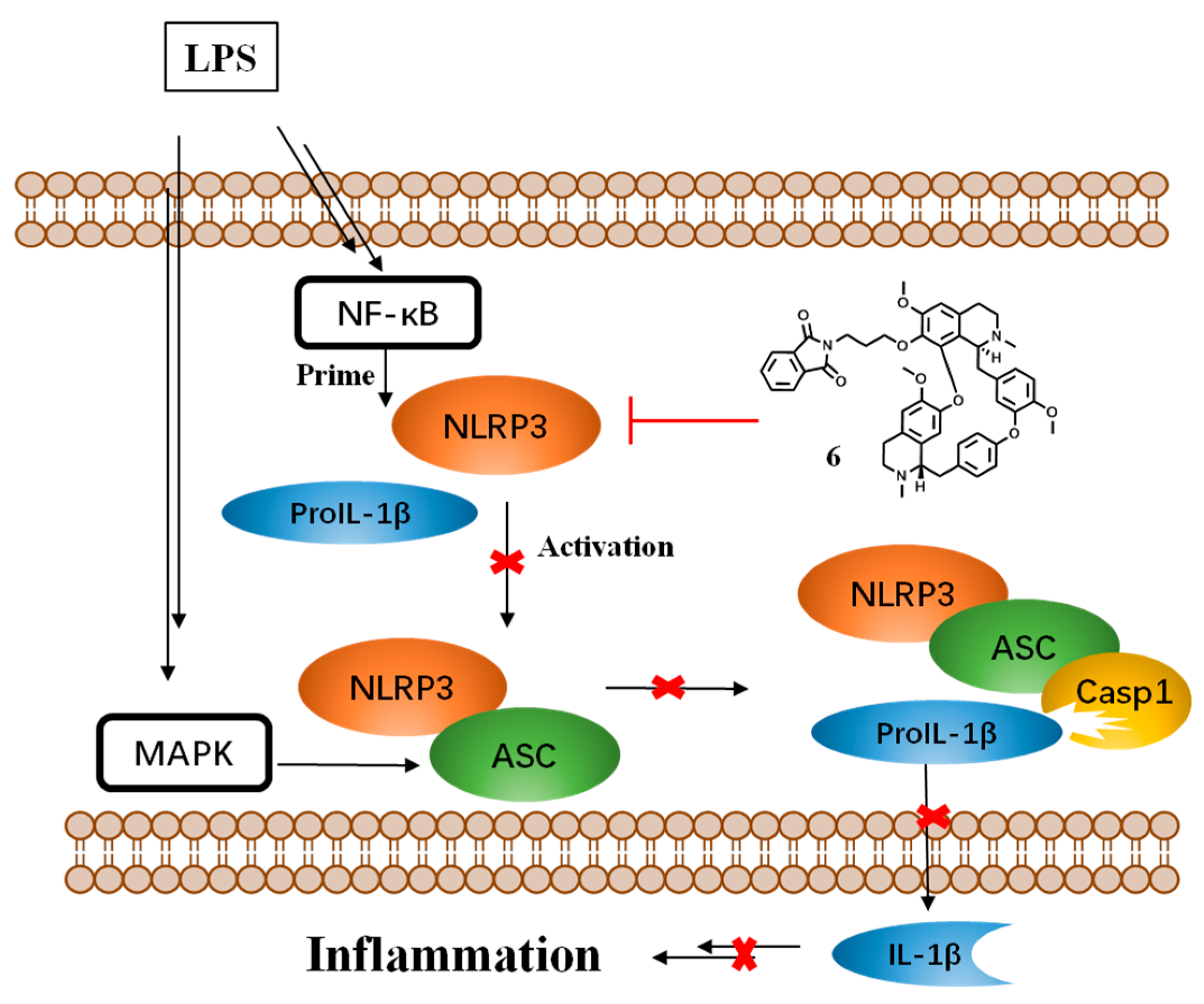 Molecules 24 01154 g007