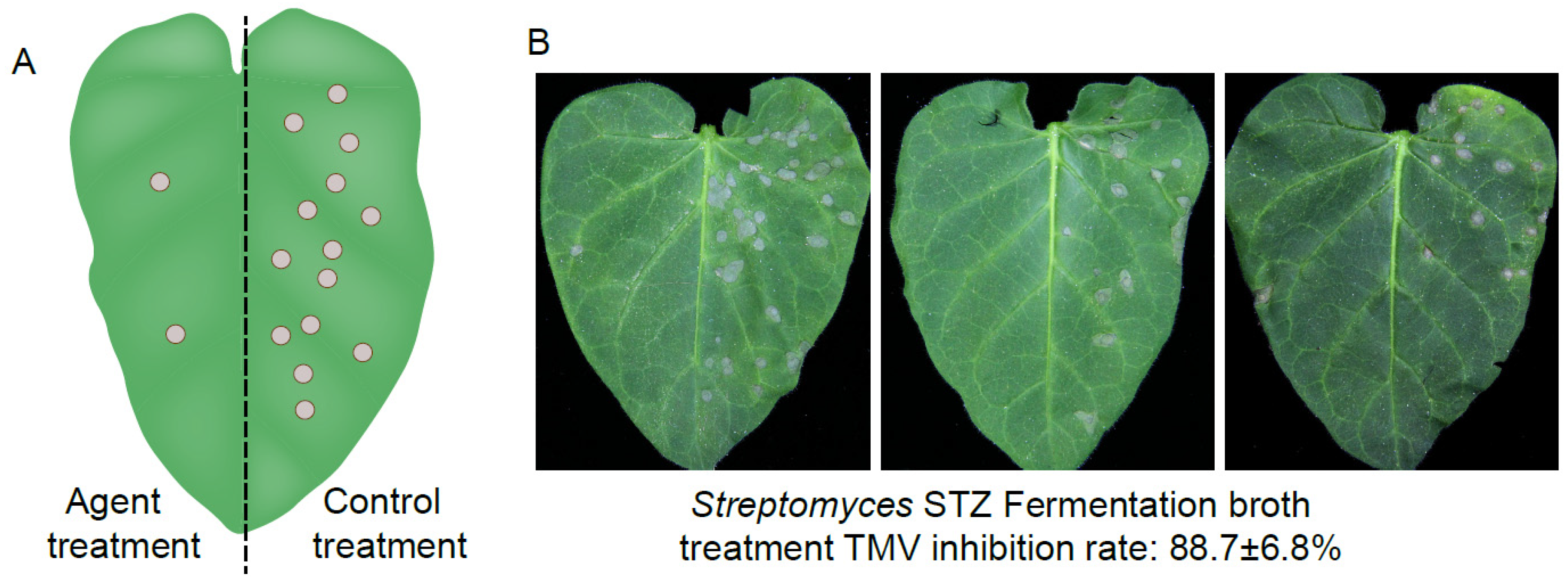 Molecules 24 01156 g001 Molecules 24 01156 g001
