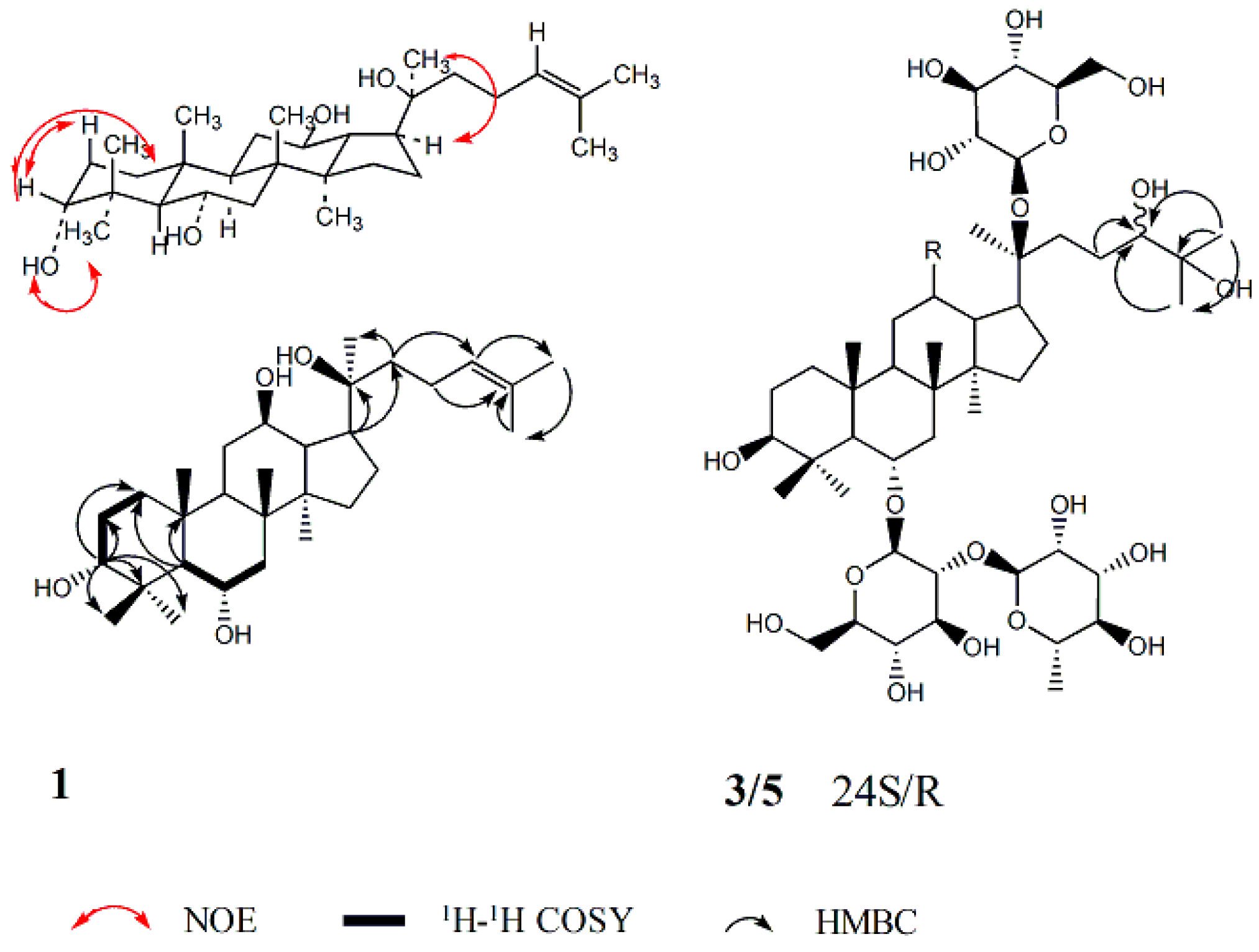Molecules 24 01159 g001