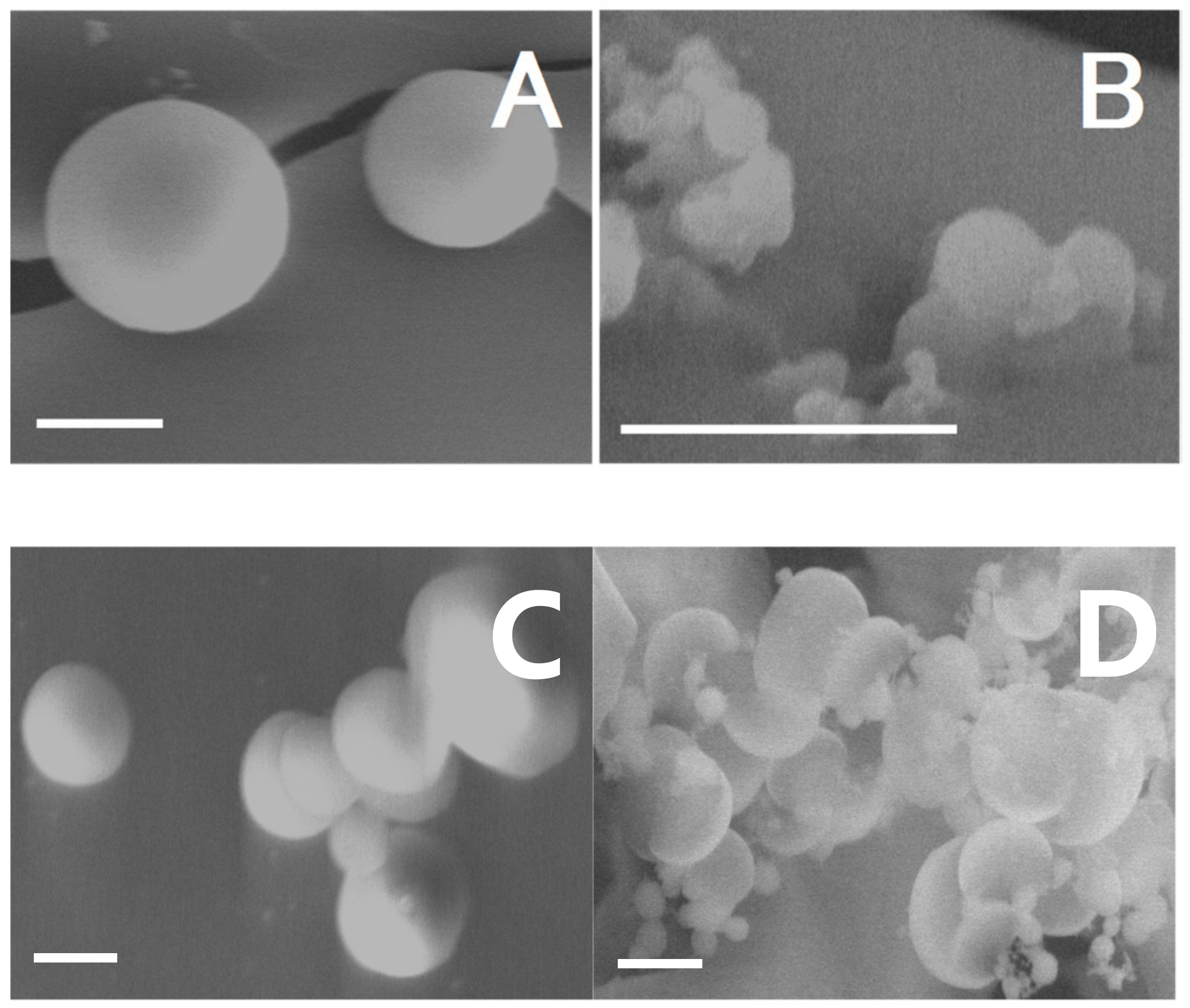 Molecules 24 01164 g007 Molecules 24 01164 g007