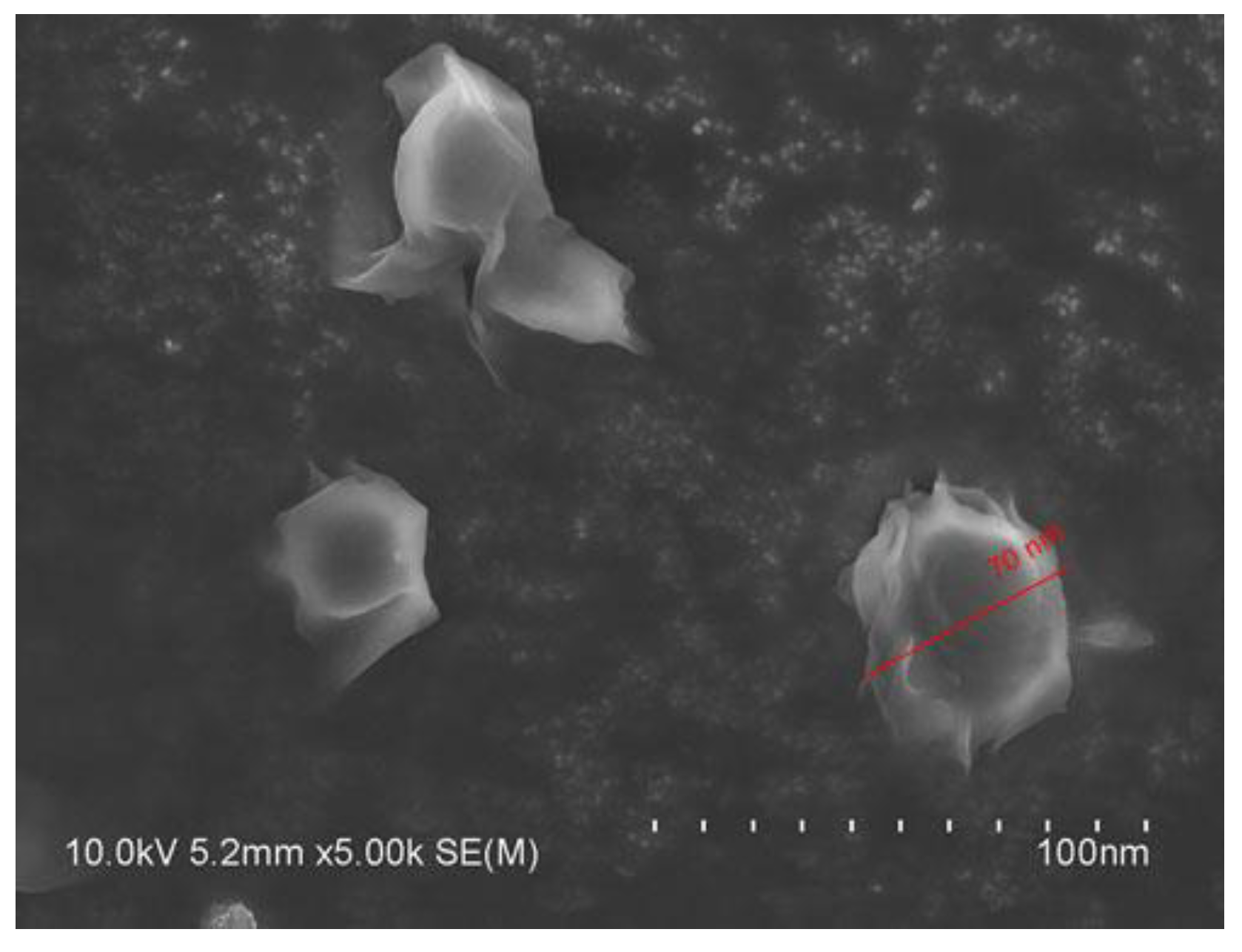 Molecules 24 01170 g001