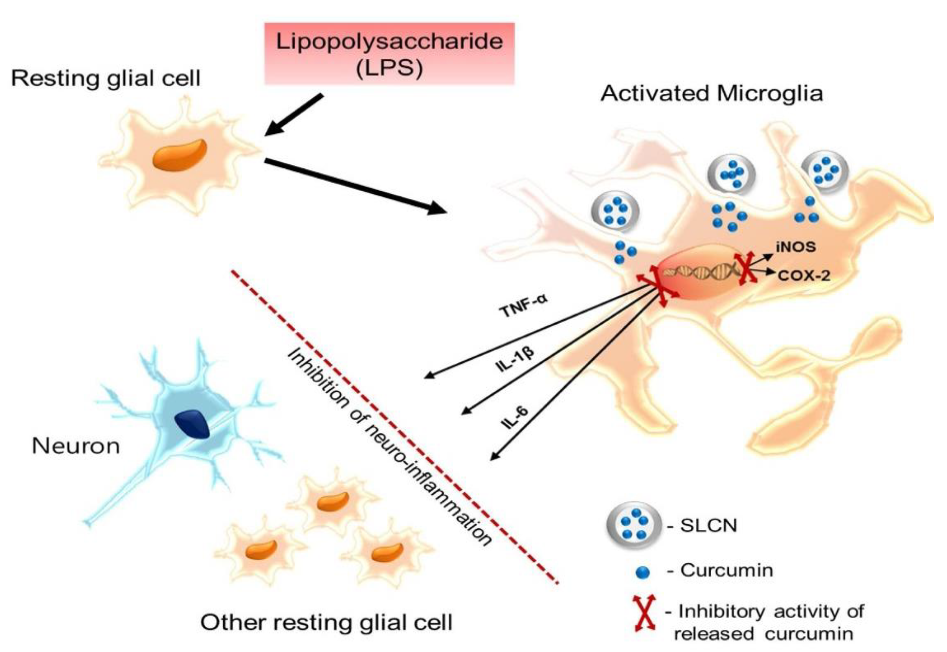 Molecules 24 01170 g006