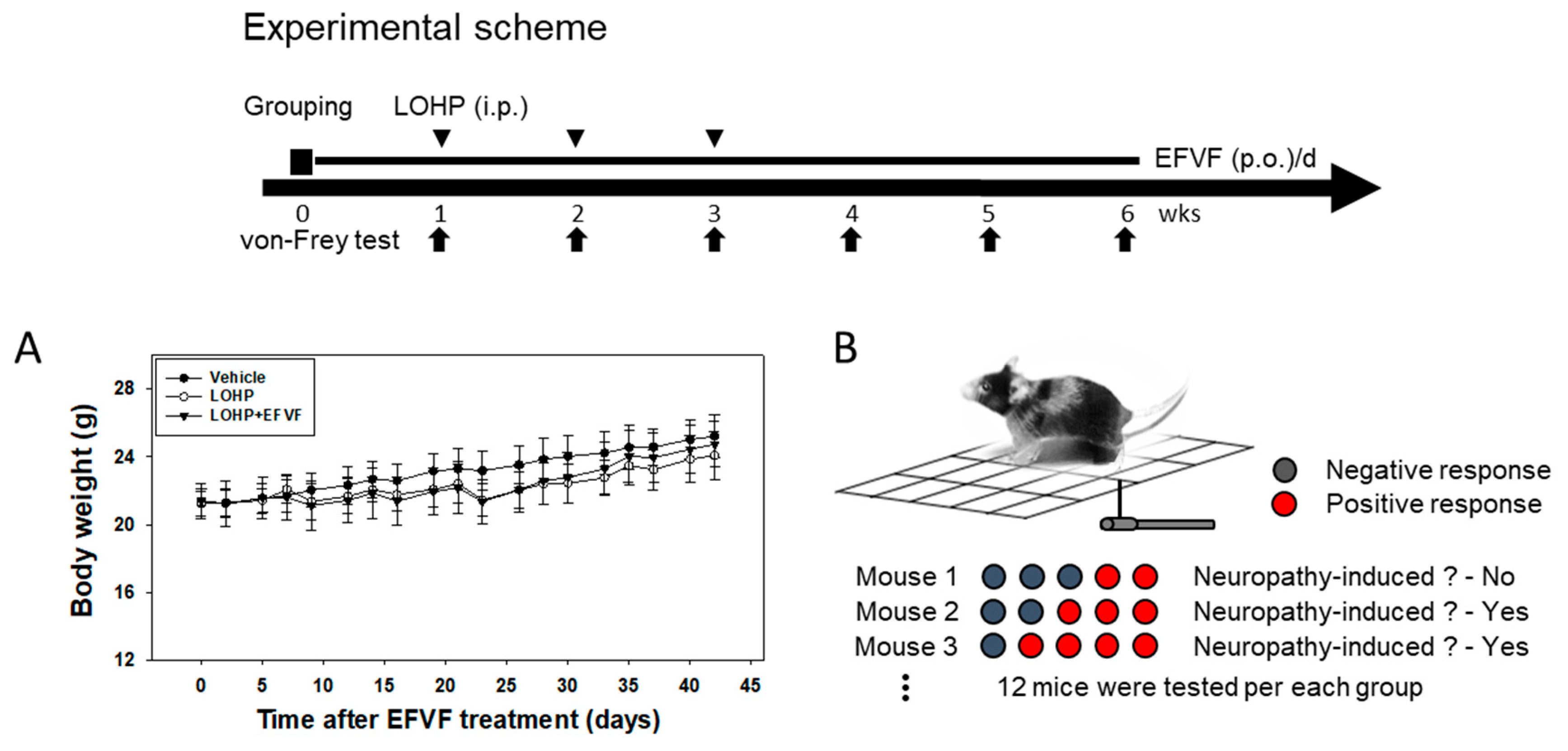 Molecules 24 01177 g003