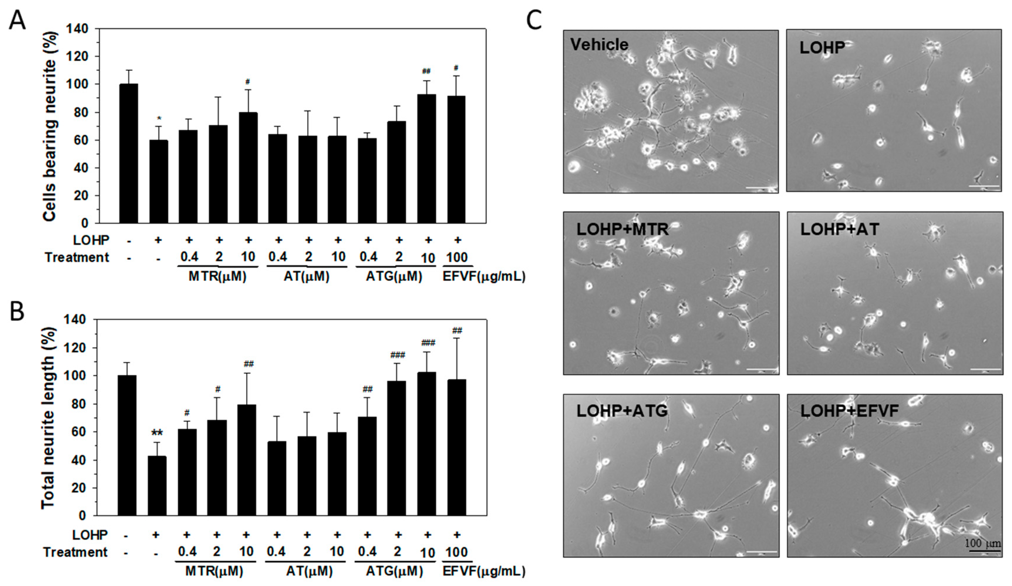 Molecules 24 01177 g007