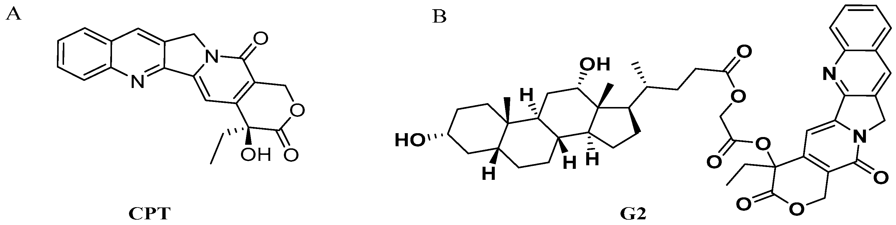 Molecules 24 01179 g001