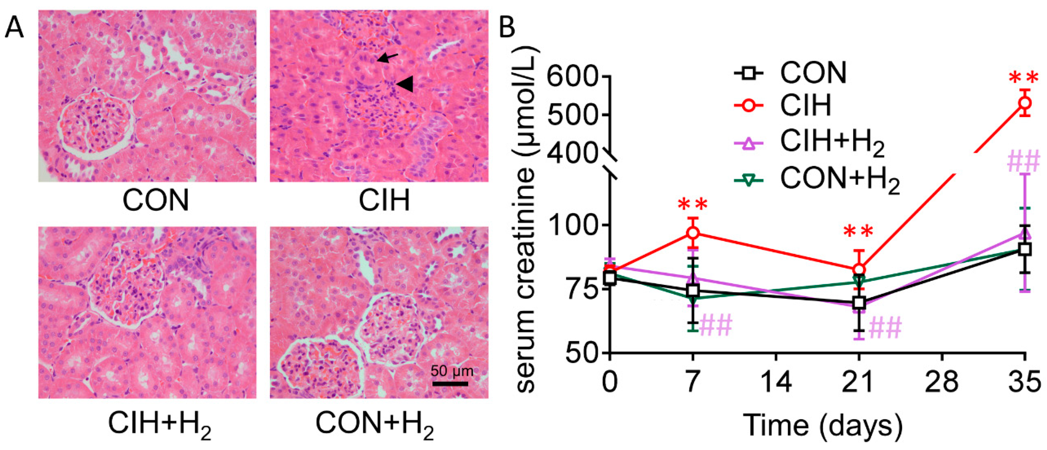 Molecules 24 01184 g001 Molecules 24 01184 g001