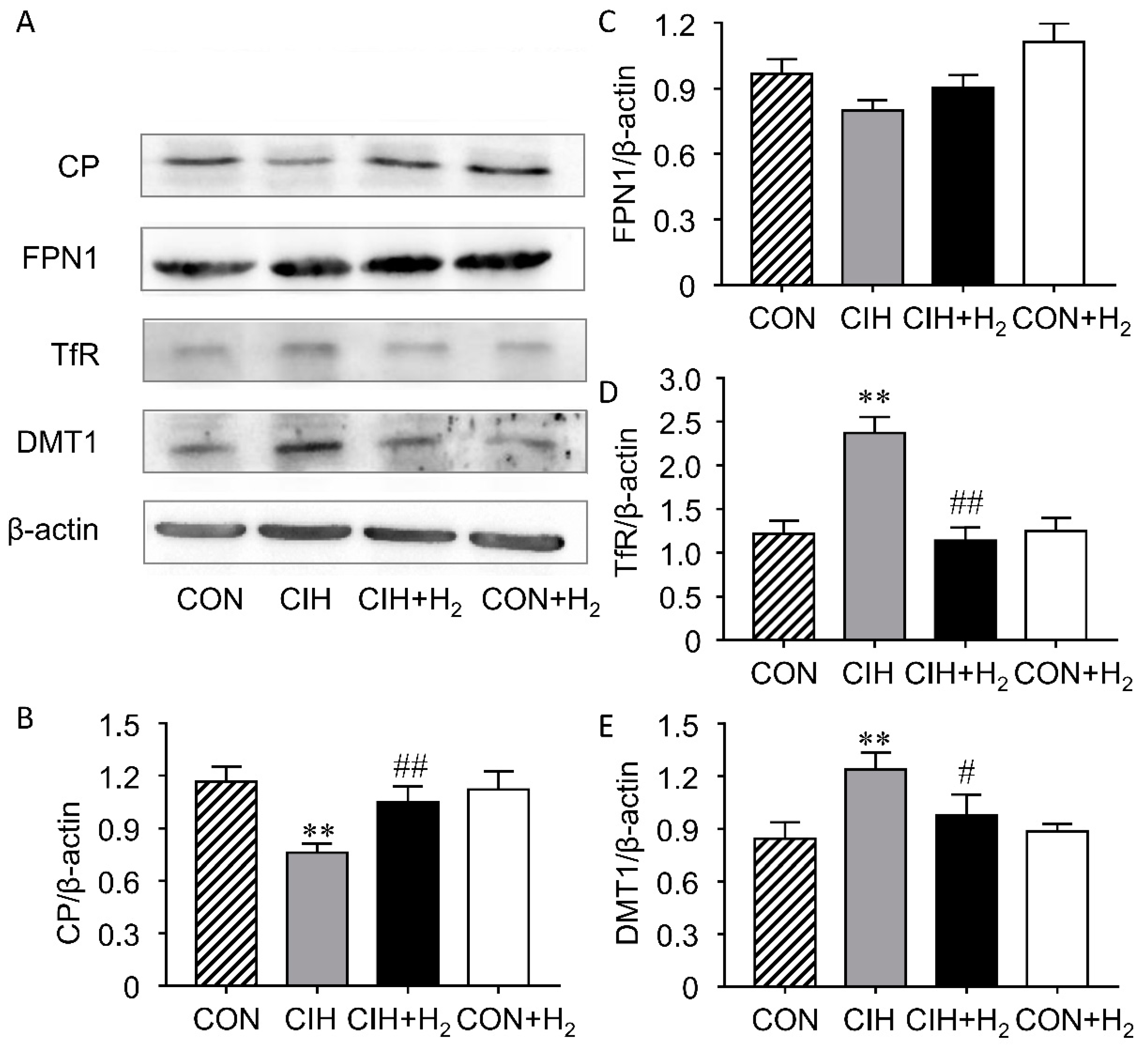 Molecules 24 01184 g004 Molecules 24 01184 g004