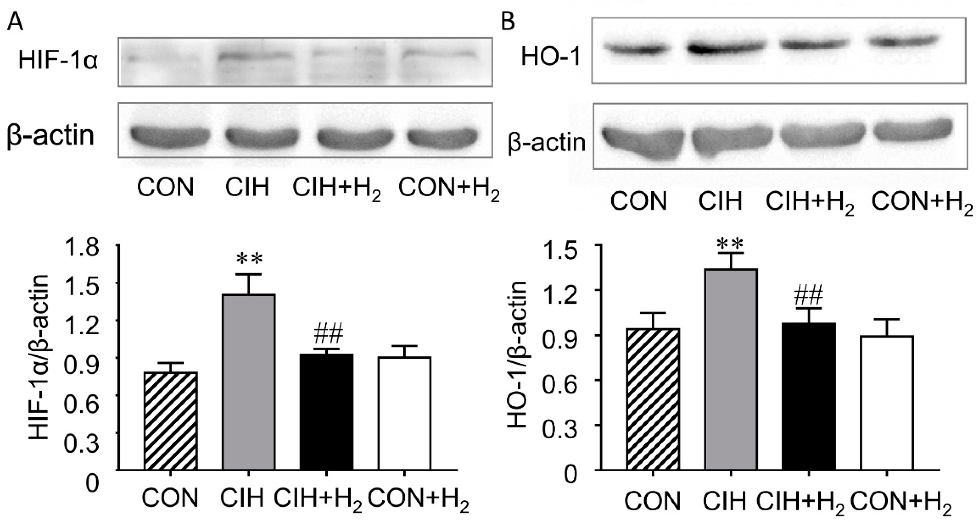 Molecules 24 01184 g005 Molecules 24 01184 g005