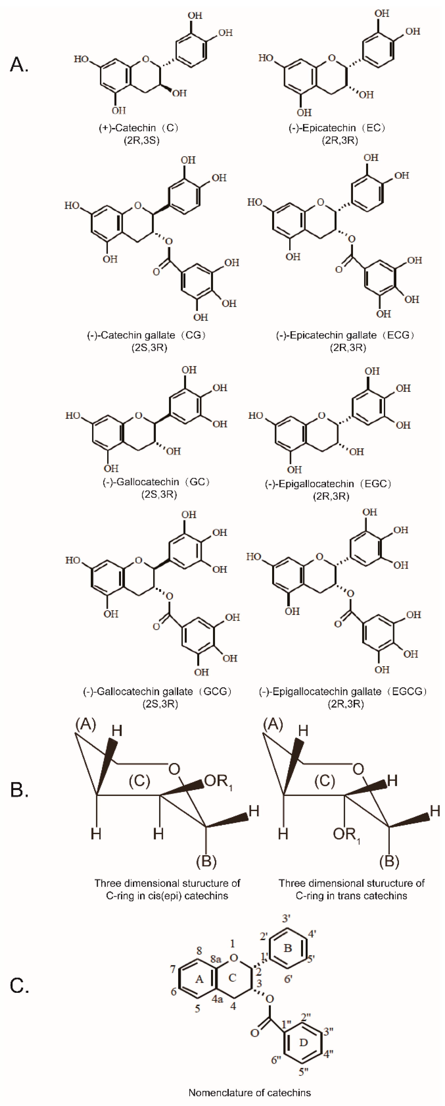 Molecules 24 01185 g001 Molecules 24 01185 g001