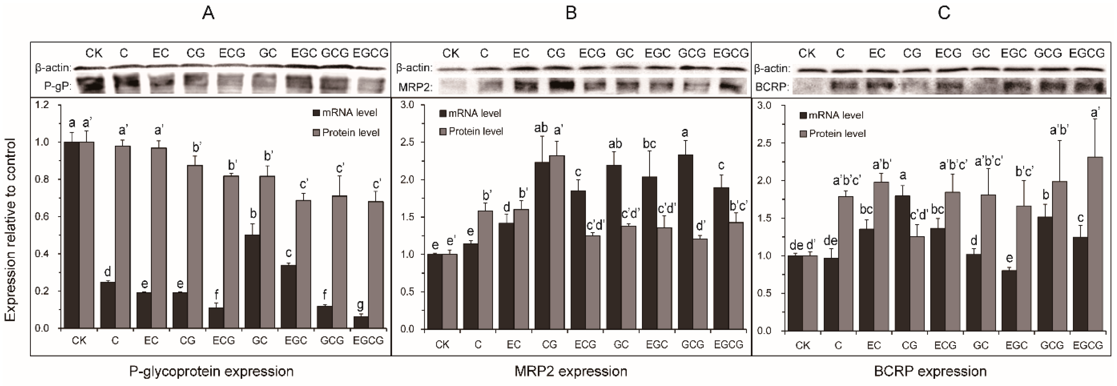Molecules 24 01185 g009 Molecules 24 01185 g009