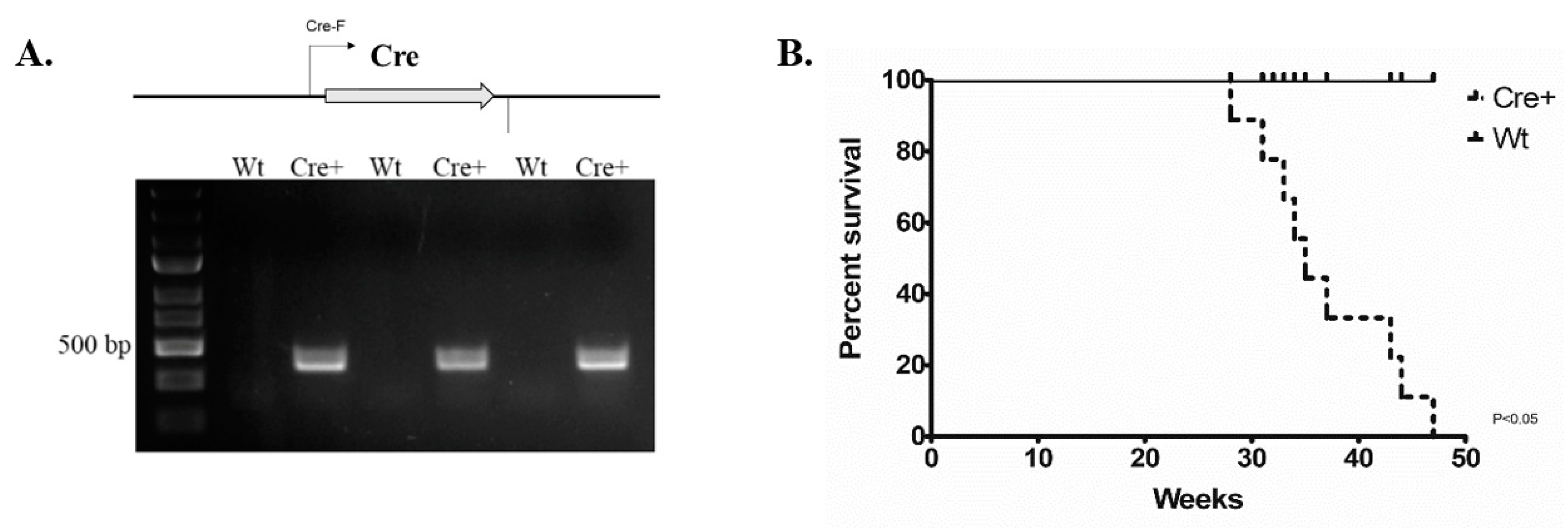 Molecules 24 01189 g001 Molecules 24 01189 g001