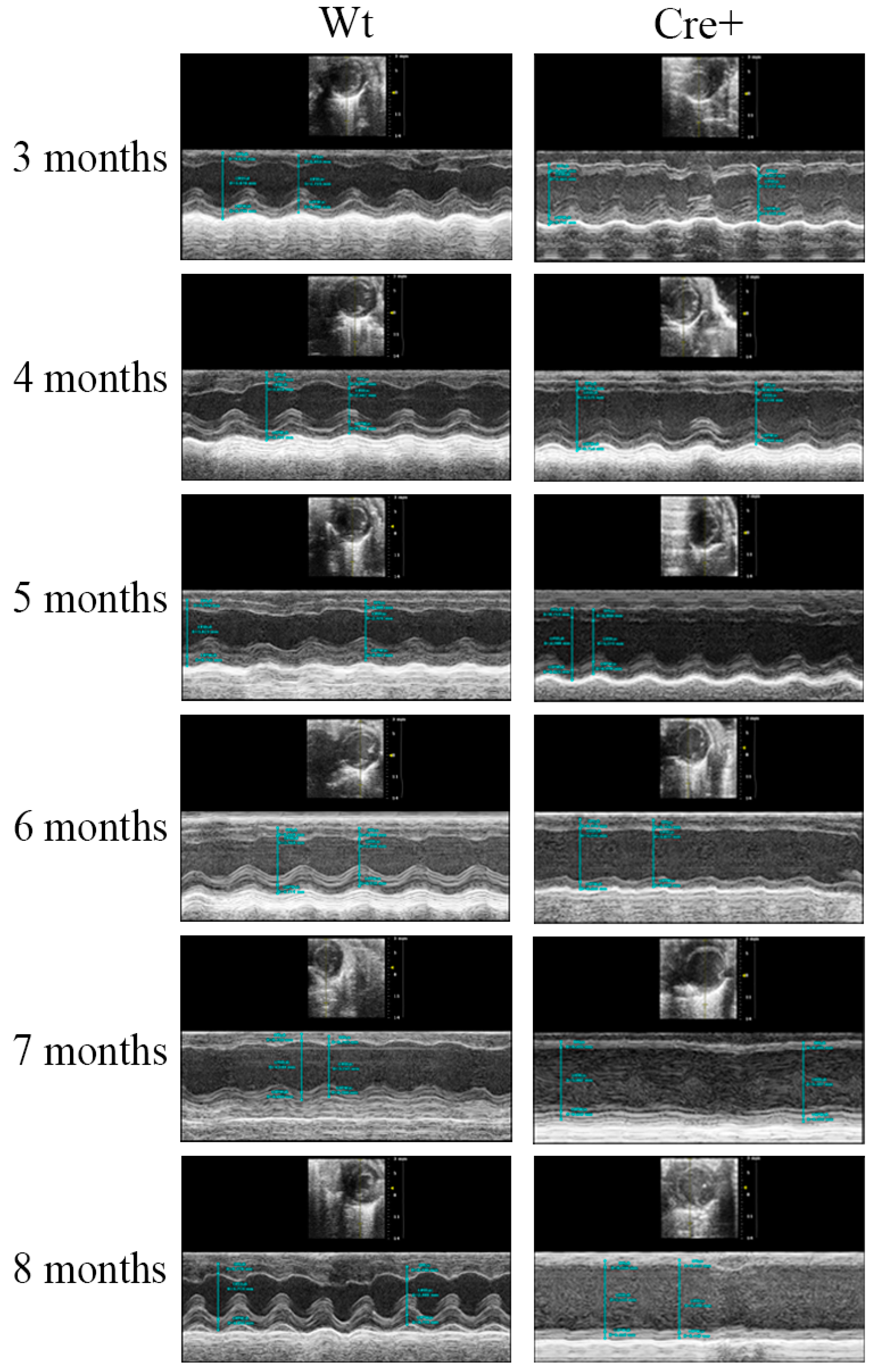 Molecules 24 01189 g002 Molecules 24 01189 g002
