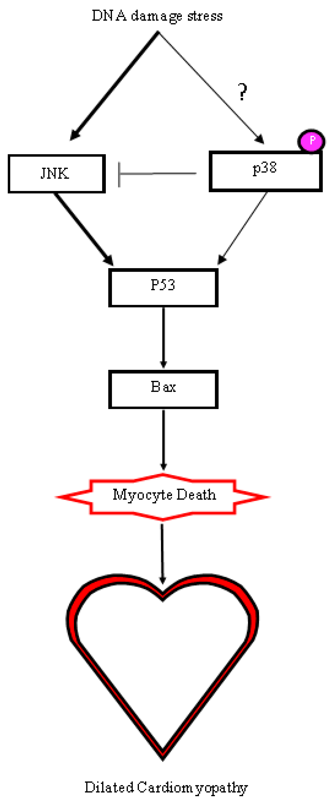 Molecules 24 01189 g007 Molecules 24 01189 g007