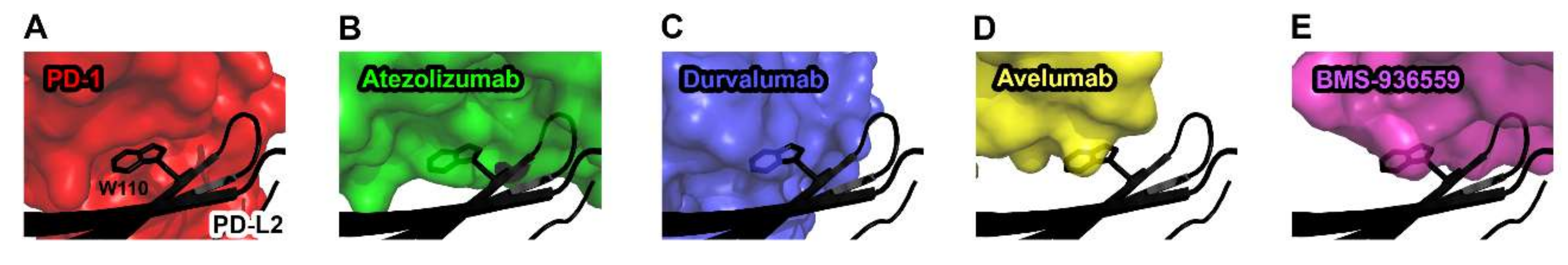 Molecules 24 01190 g007