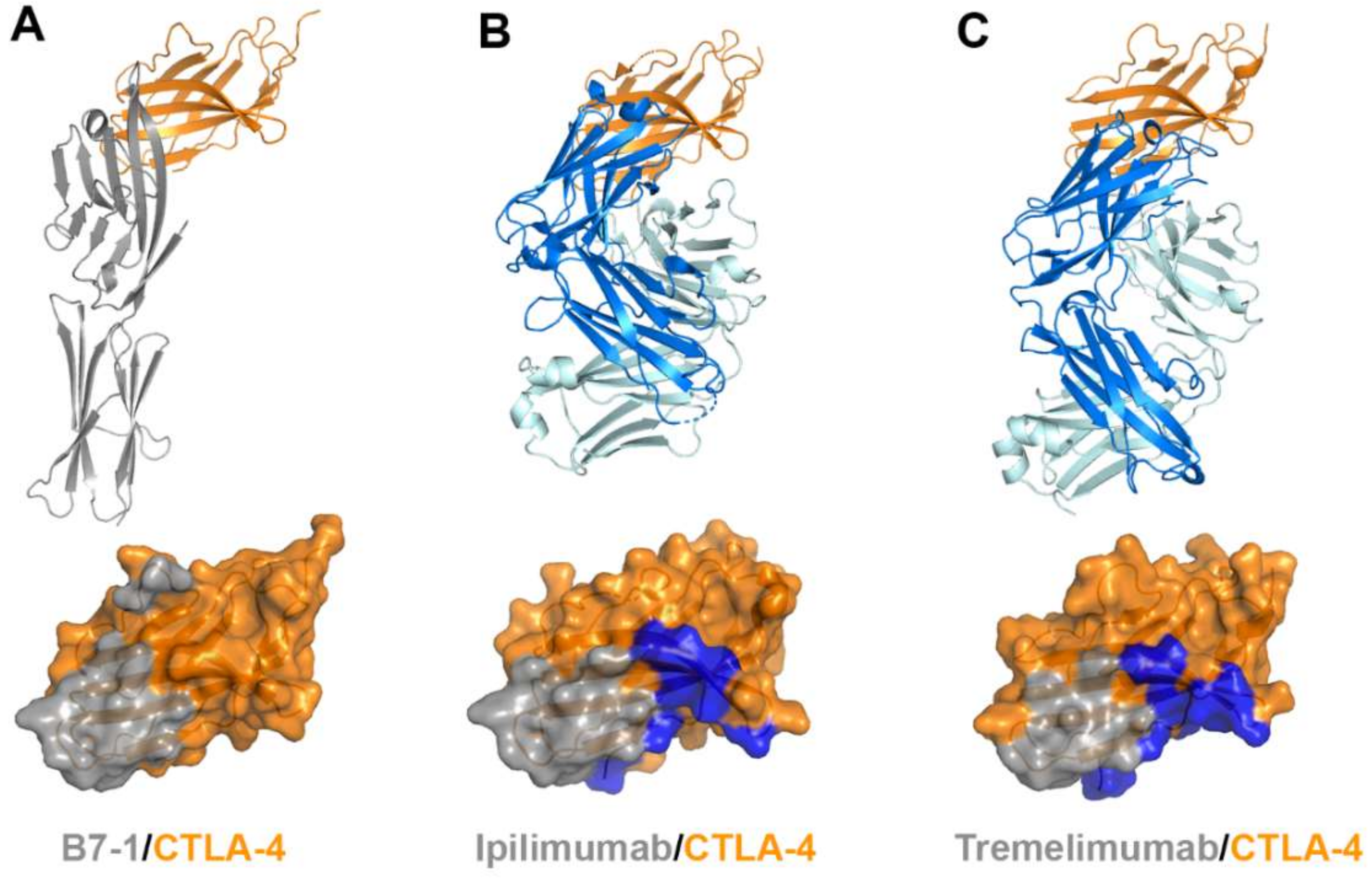 Molecules 24 01190 g008