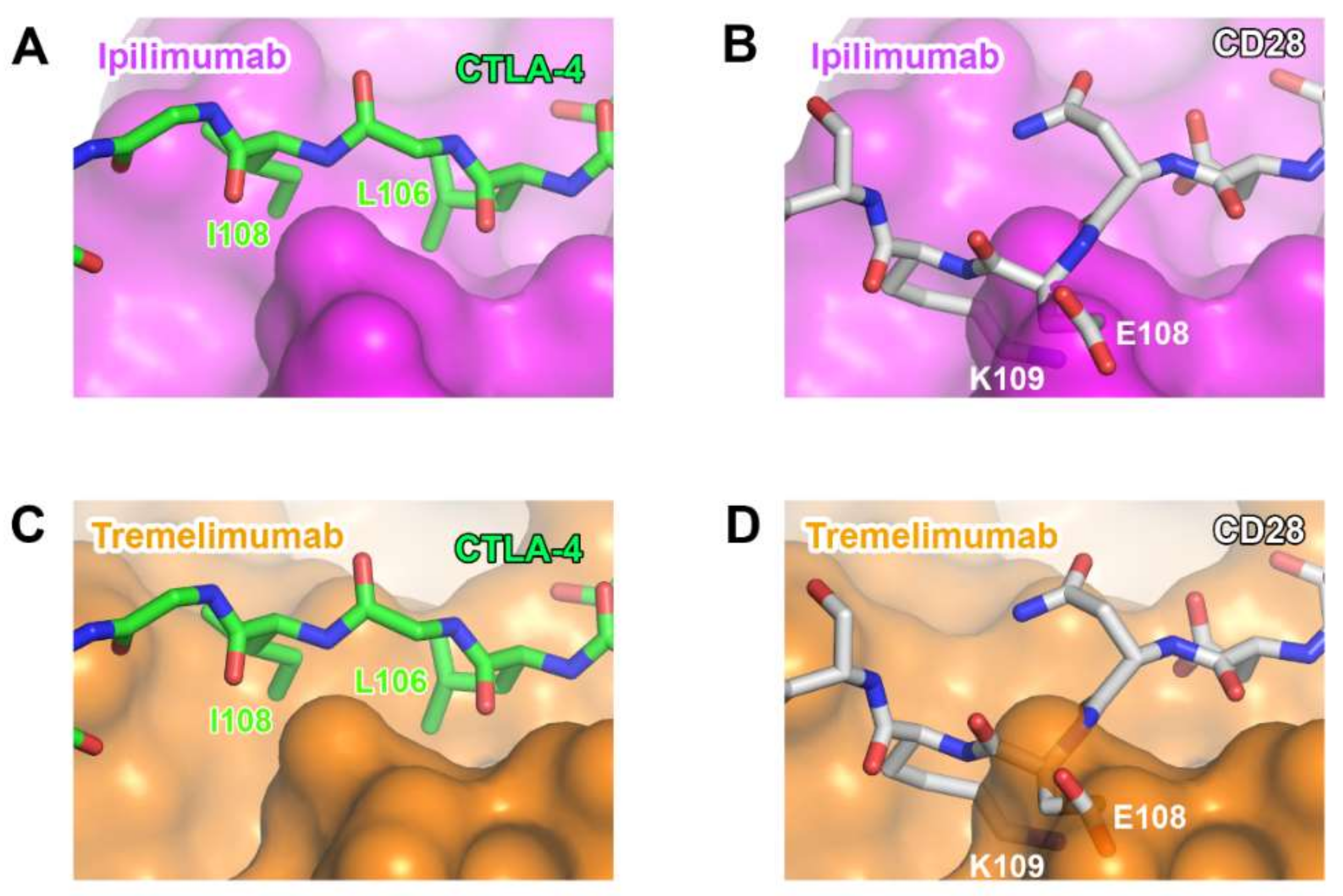 Molecules 24 01190 g011