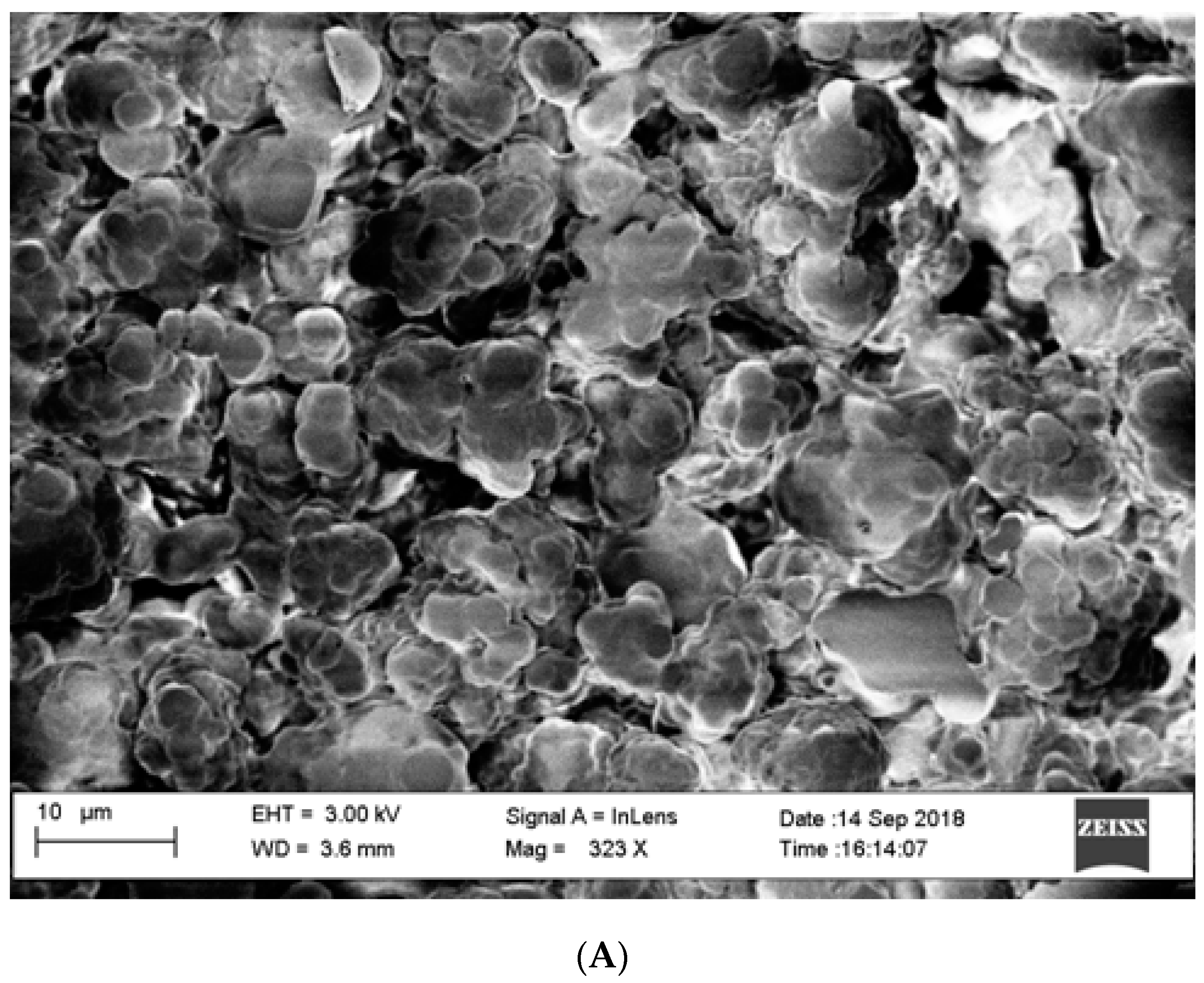 Molecules 24 01191 g002a