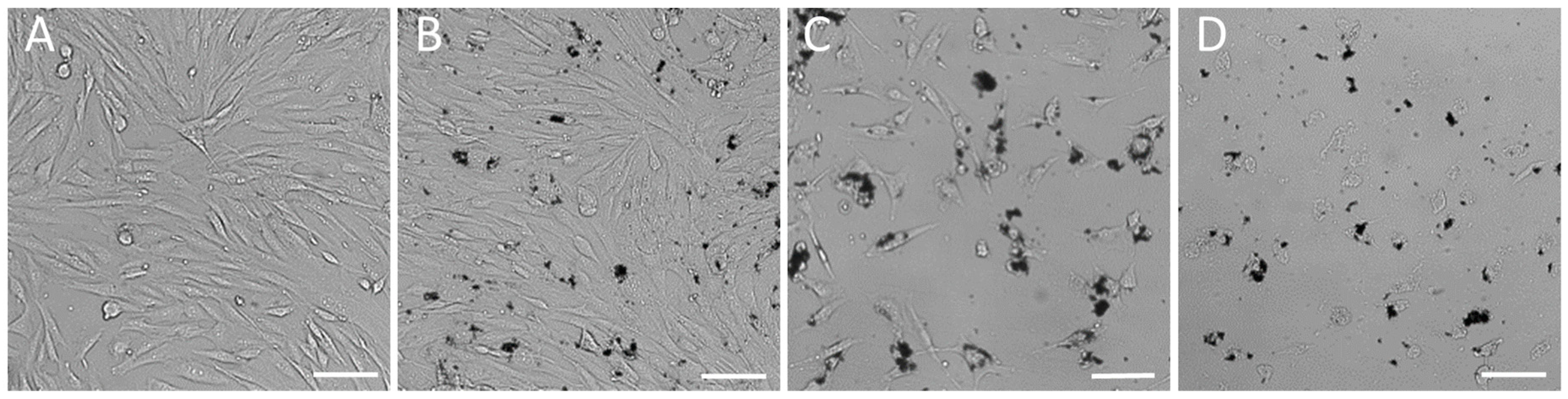 Molecules 24 01192 g002