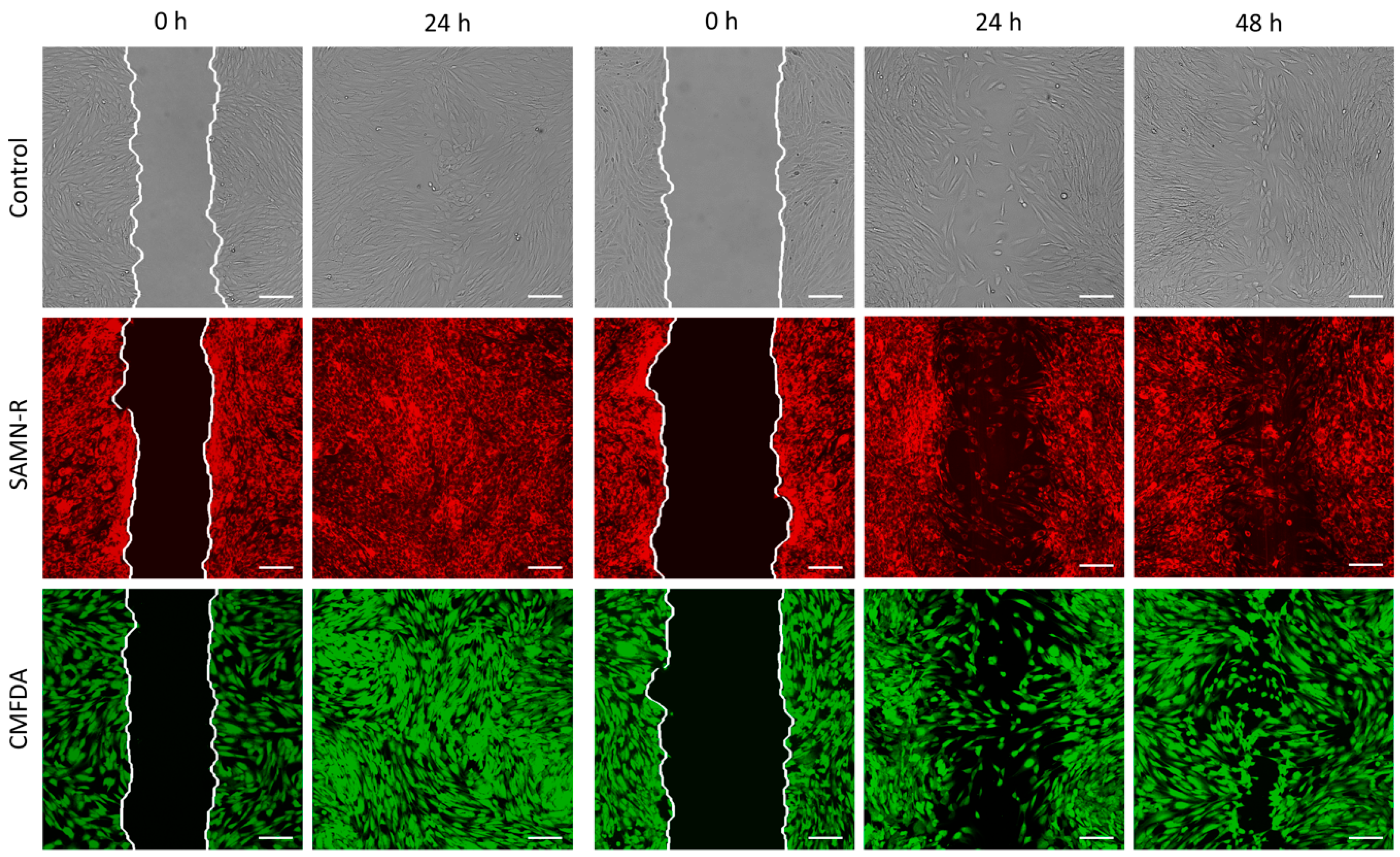 Molecules 24 01192 g006