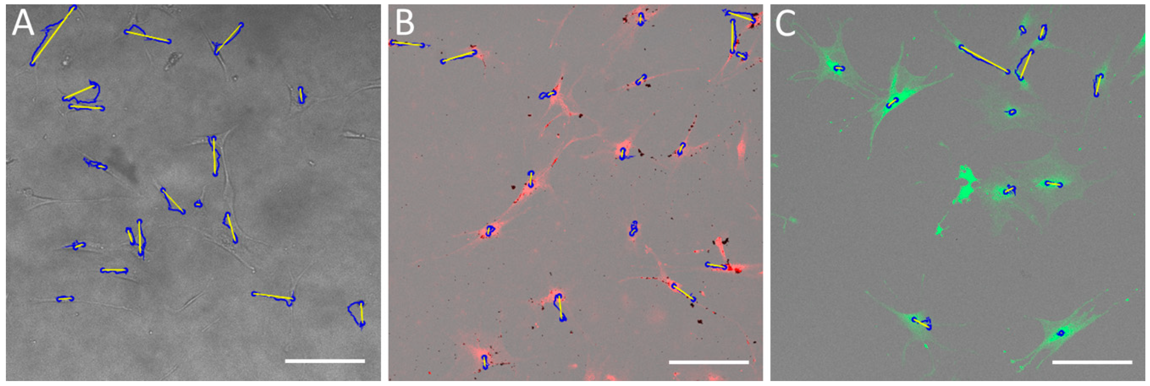 Molecules 24 01192 g009