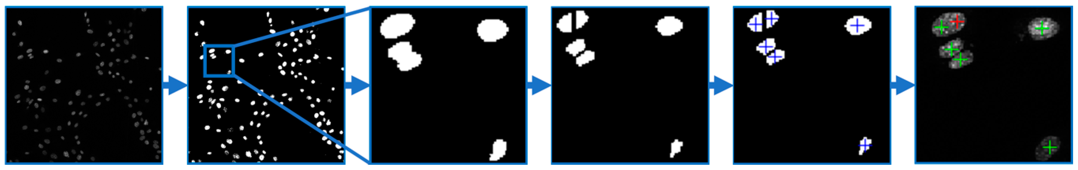 Molecules 24 01192 g010