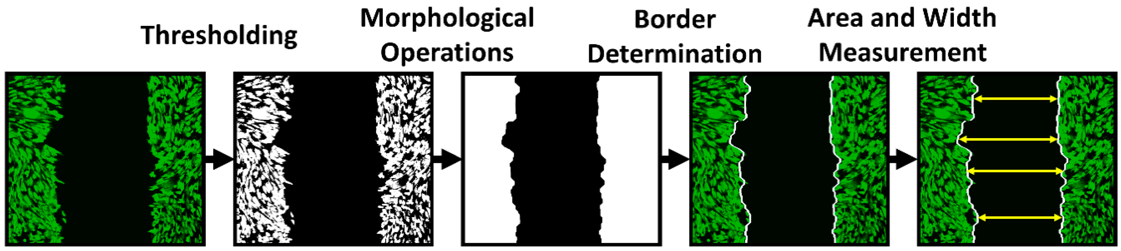 Molecules 24 01192 g011