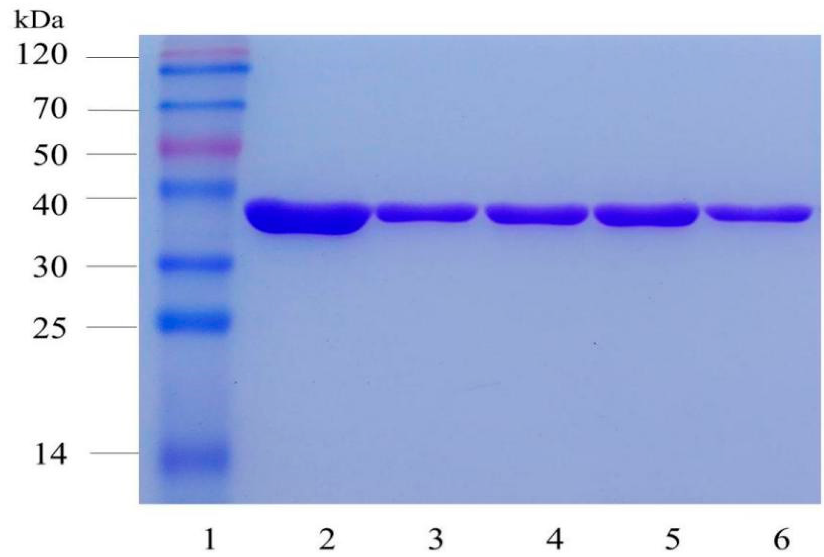 Molecules 24 01194 g002 Molecules 24 01194 g002