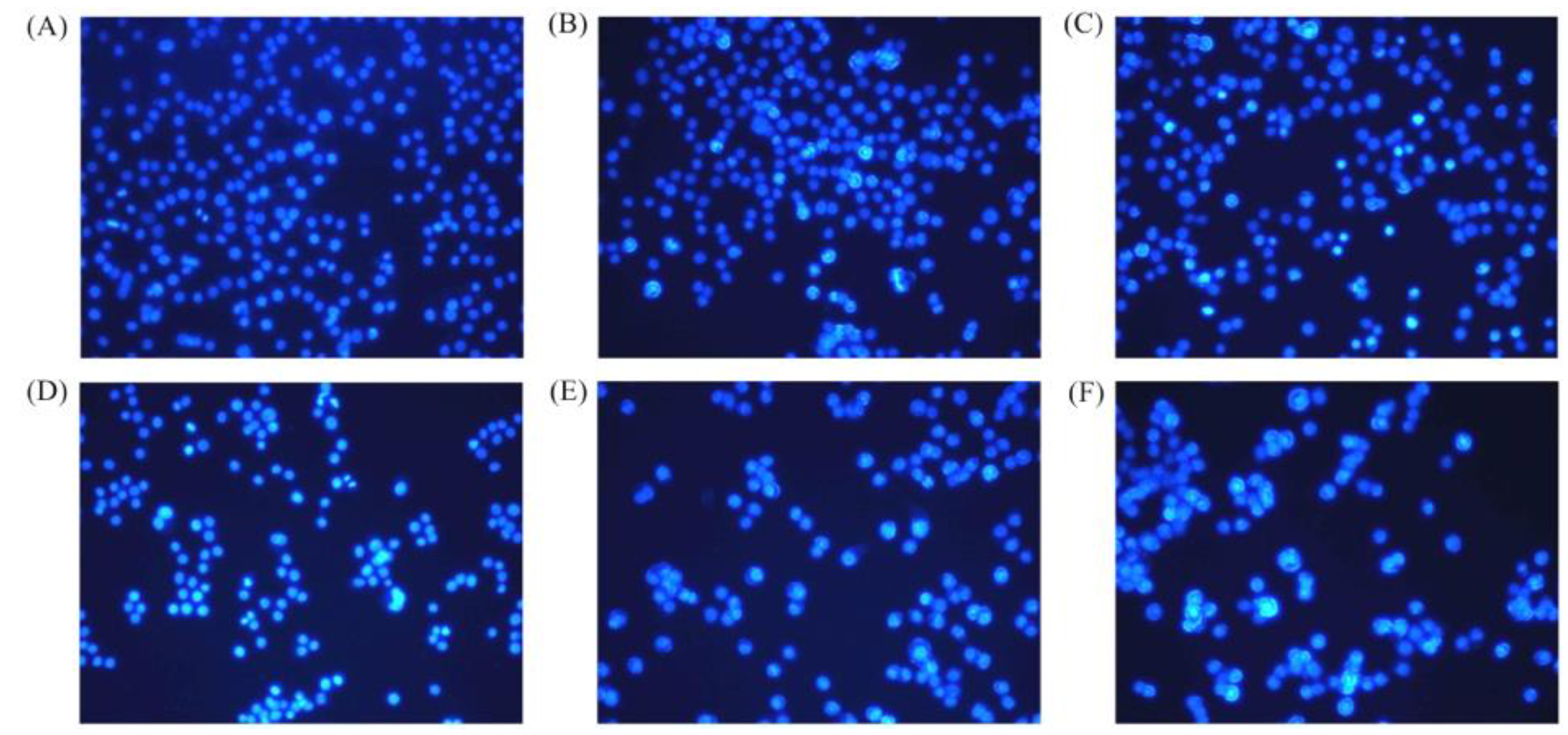 Molecules 24 01195 g004
