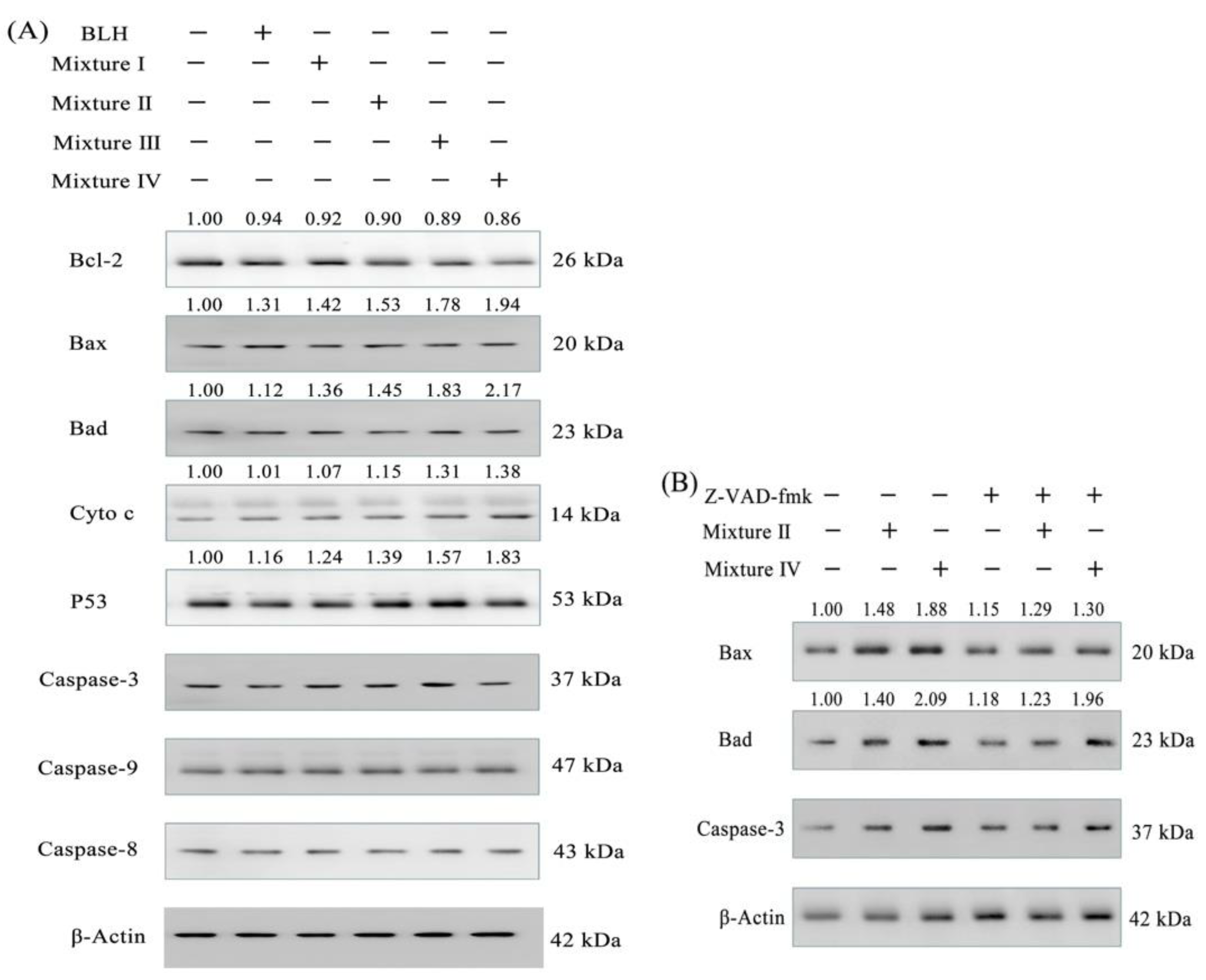 Molecules 24 01195 g007