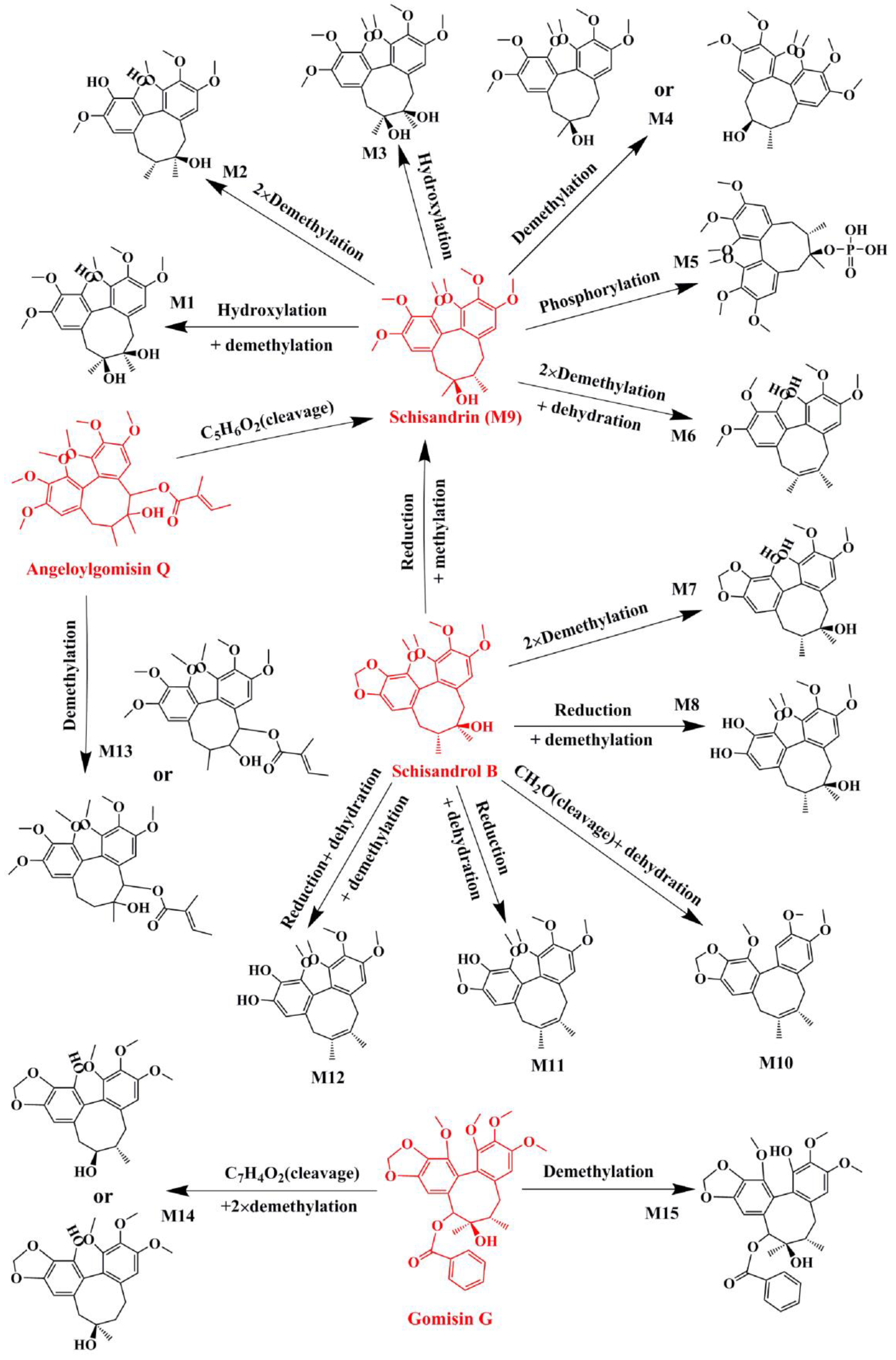 Molecules 24 01203 g002