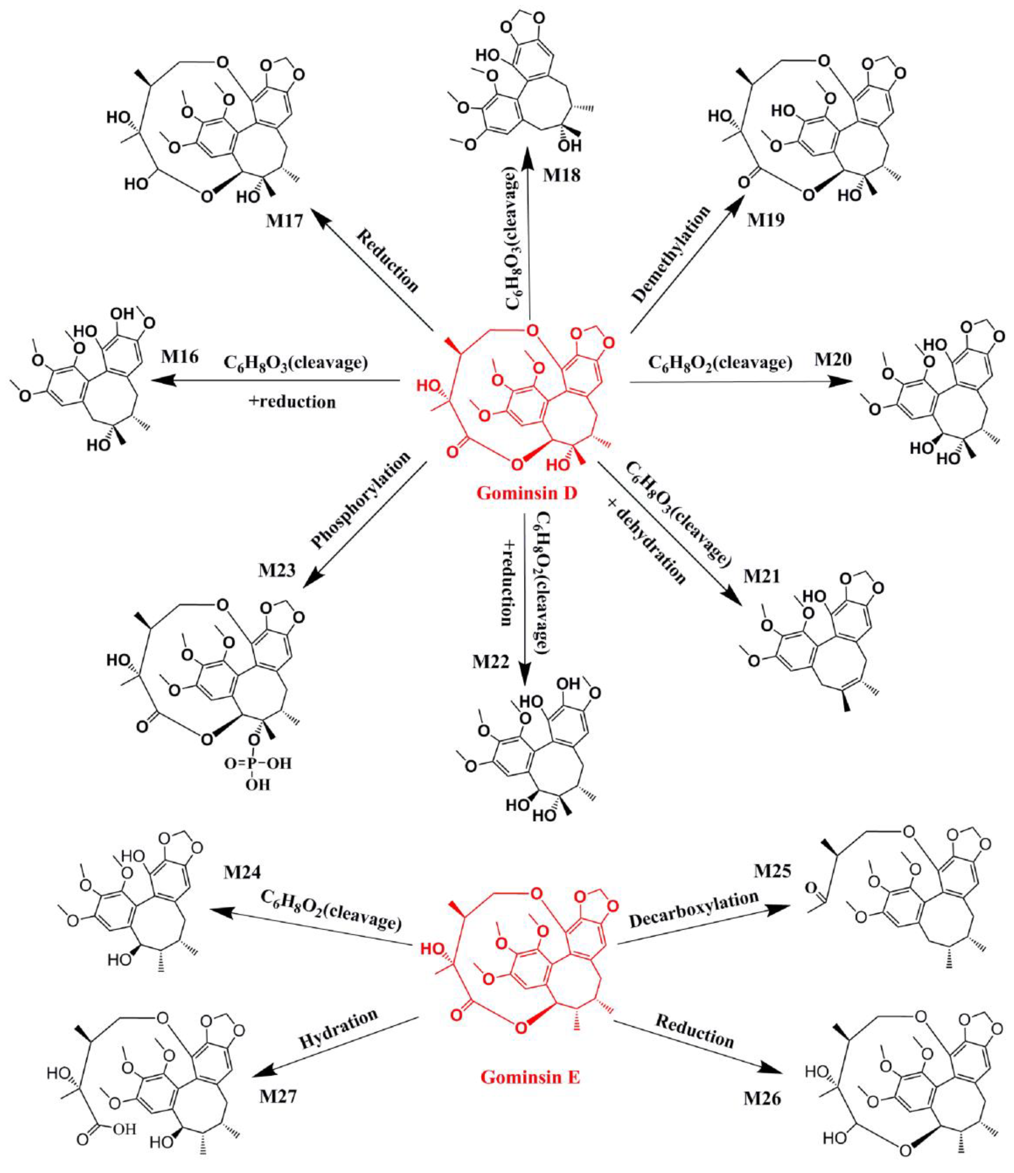 Molecules 24 01203 g003