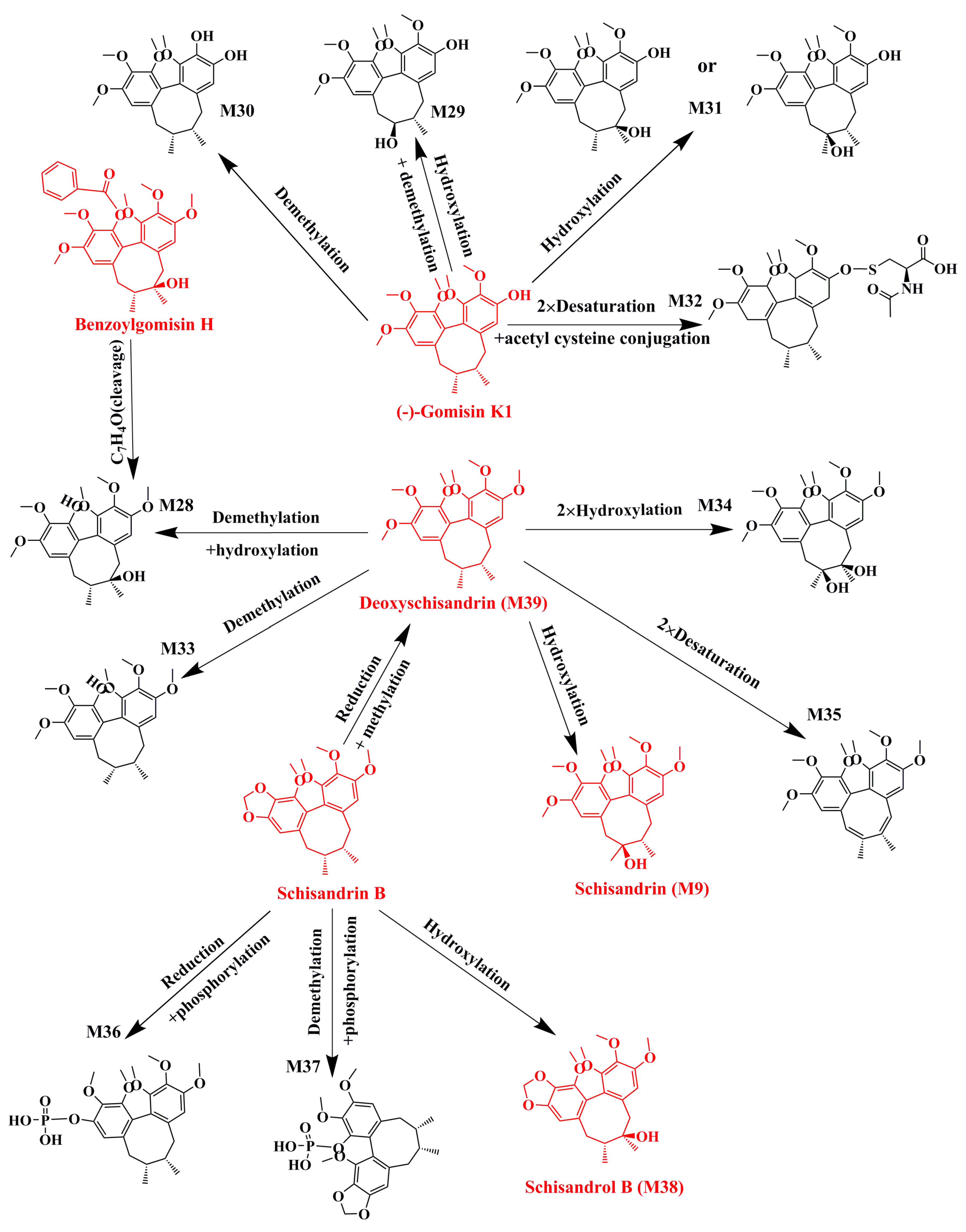 Molecules 24 01203 g004