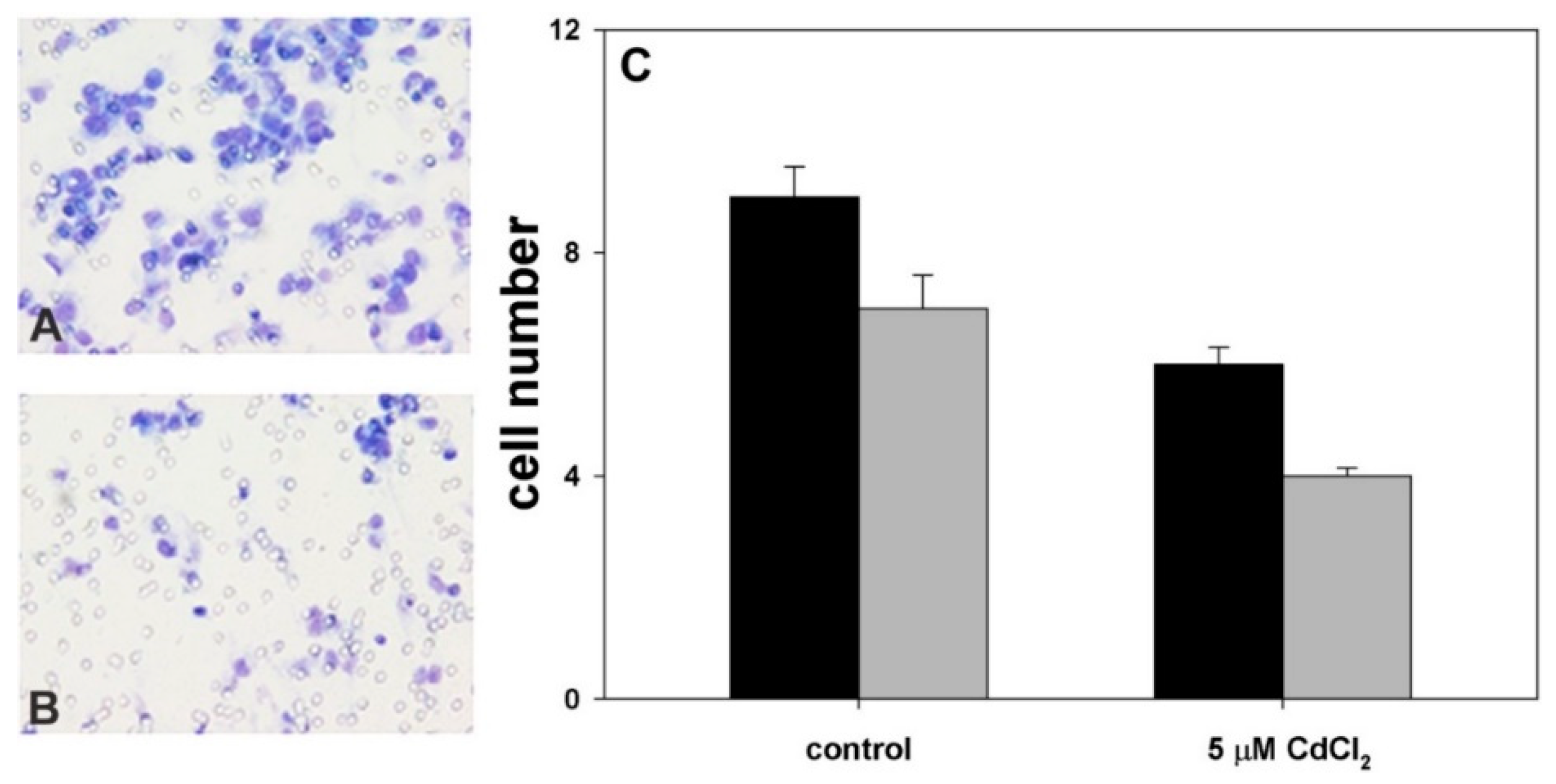 Molecules 24 01205 g004 550