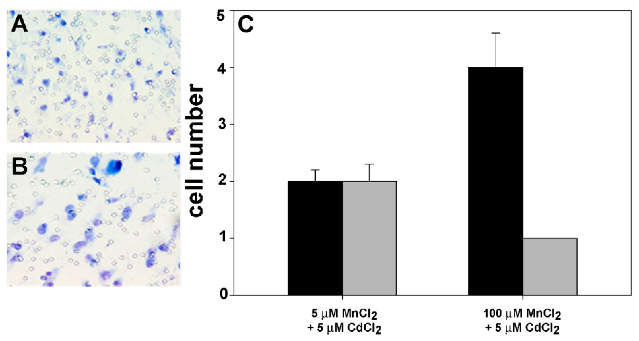 Molecules 24 01205 g005 550