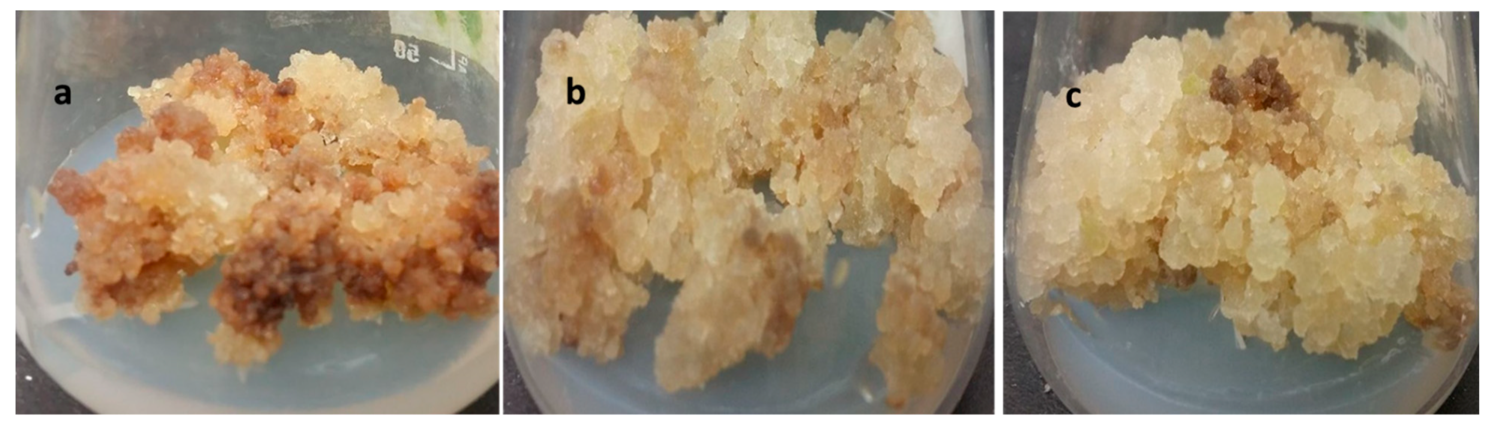 Molecules 24 01207 g001 550