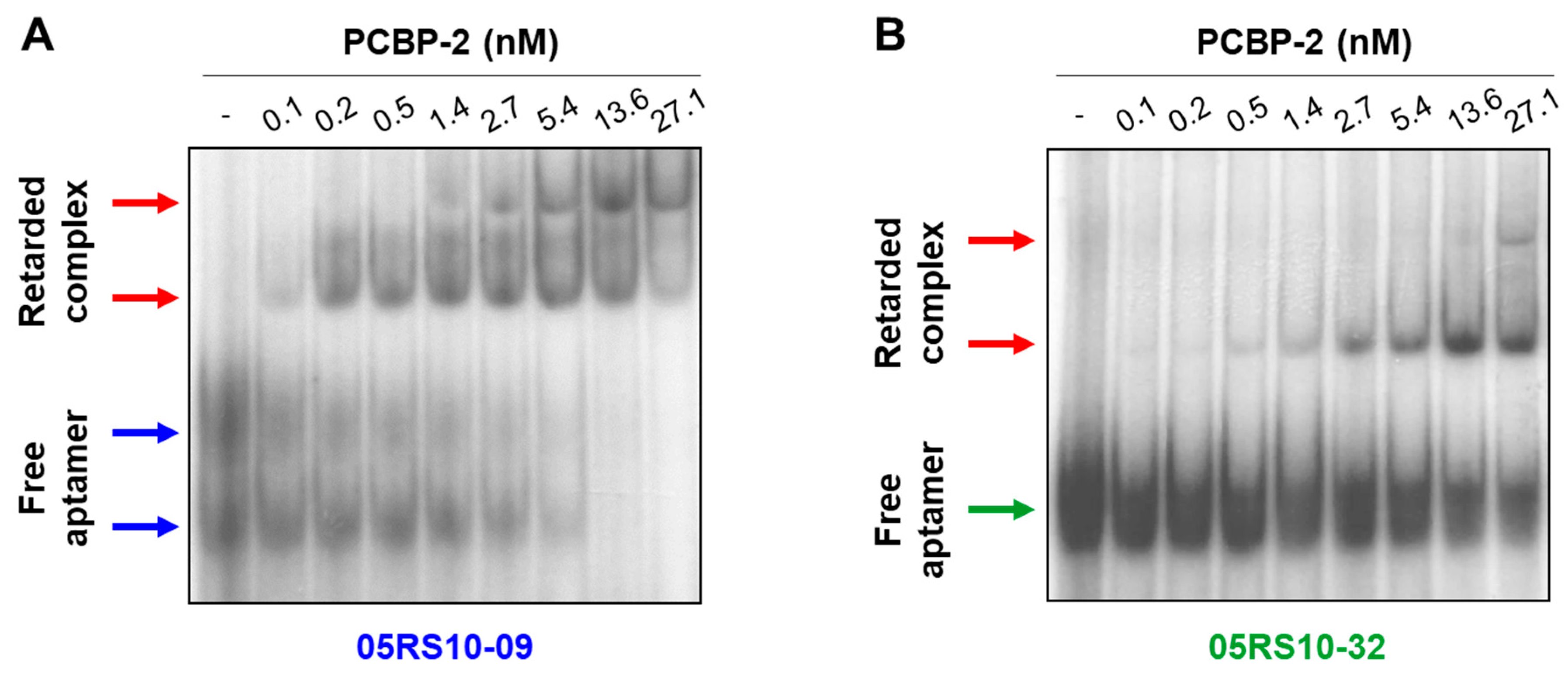 Molecules 24 01213 g007
