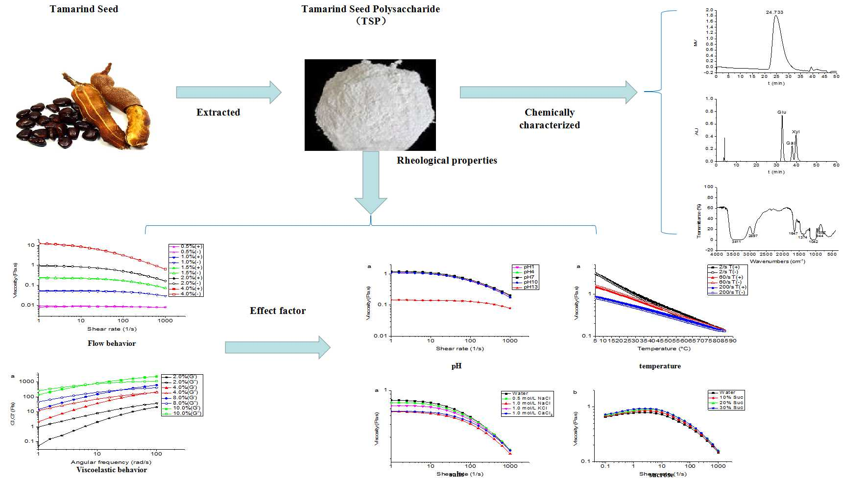 Molecules Free Full Text Composition And Rheological Properties Of Polysaccharide Extracted From Tamarind Tamarindus Indica L Seed Html Molecules Free Full Text Composition And Rheological Properties Of Polysaccharide Extracted From Tamarind Tamarindus Indica L Seed Html