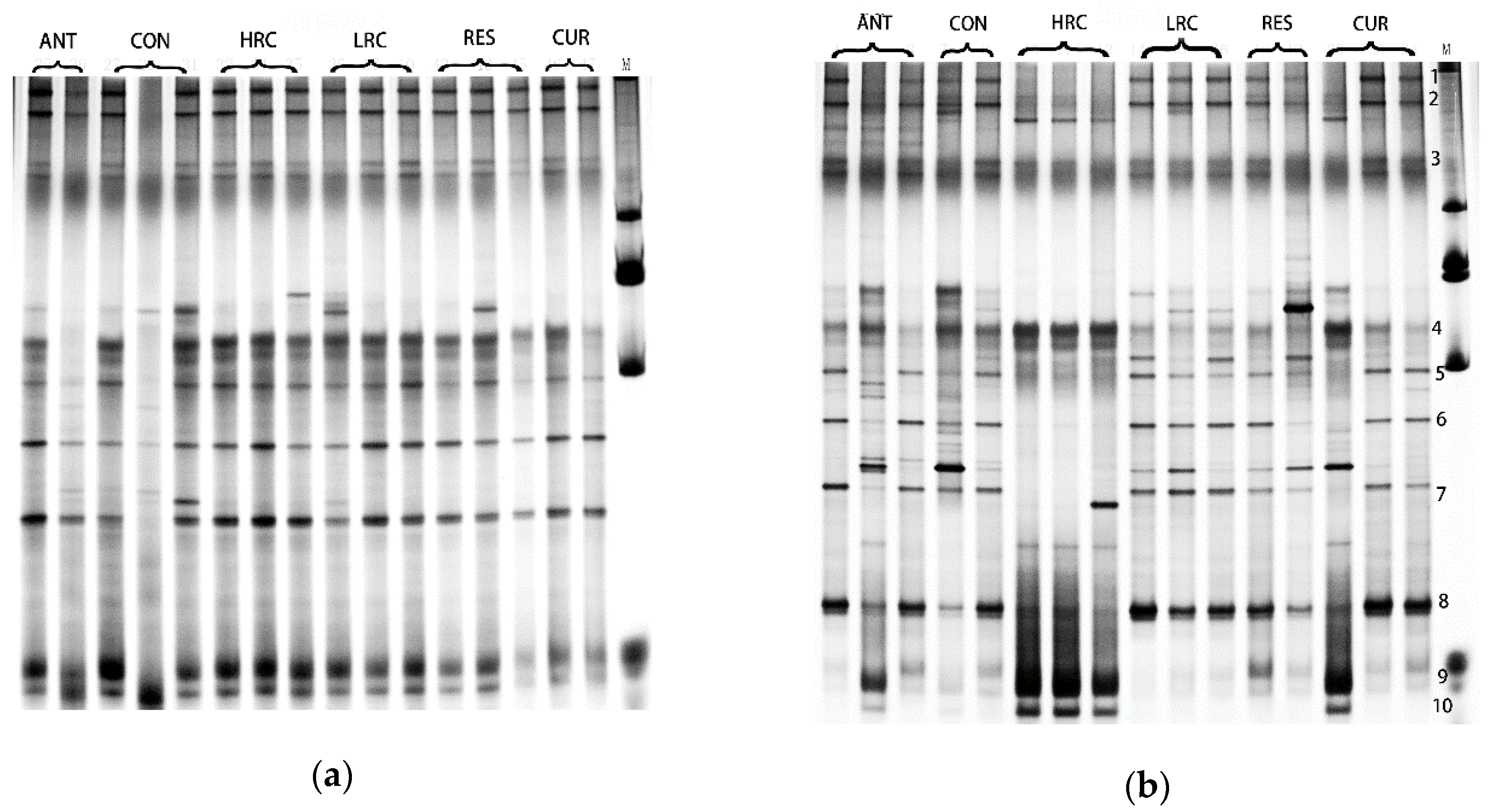 Molecules 24 01220 g003