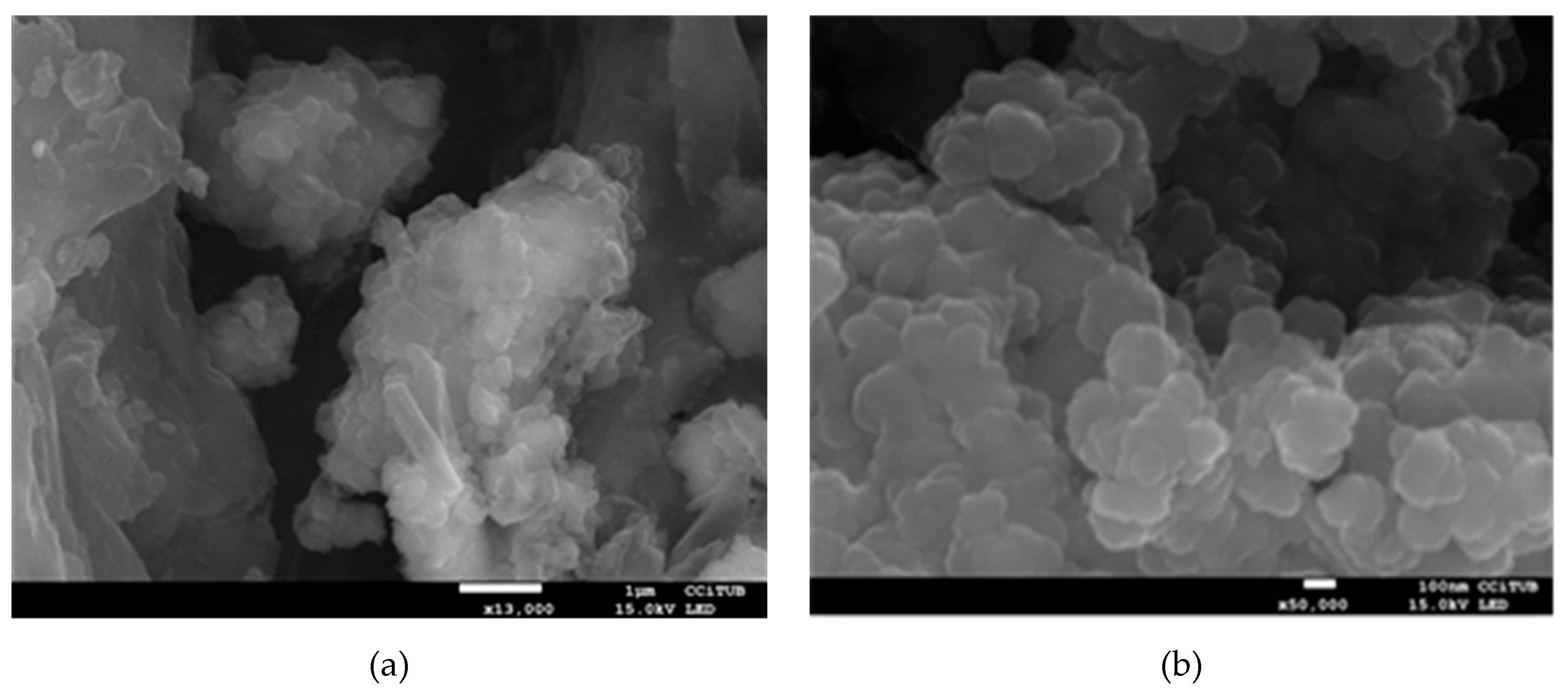 Molecules 24 01232 g001