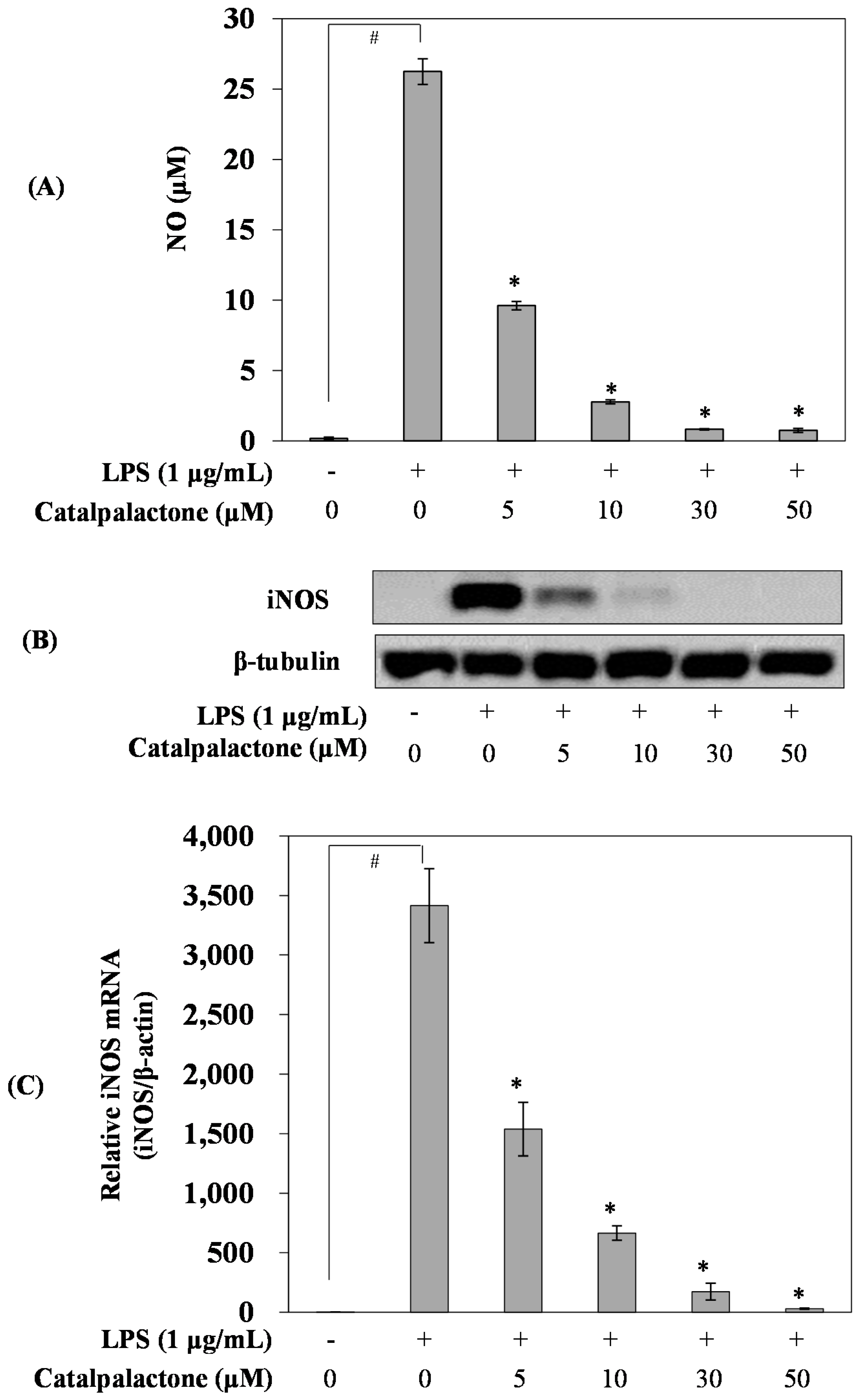 Molecules 24 01236 g002 Molecules 24 01236 g002