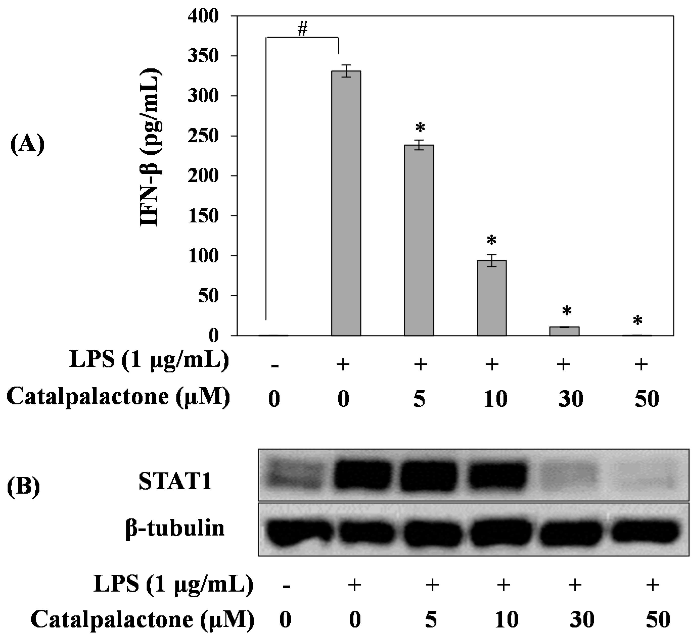 Molecules 24 01236 g004 Molecules 24 01236 g004