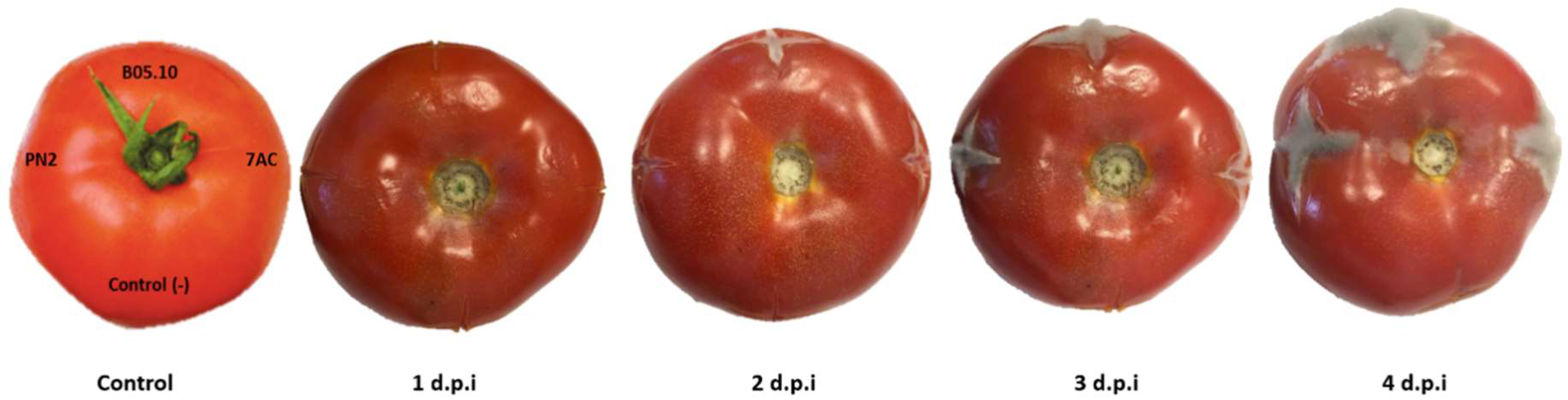 Molecules 24 01239 g003 Molecules 24 01239 g003