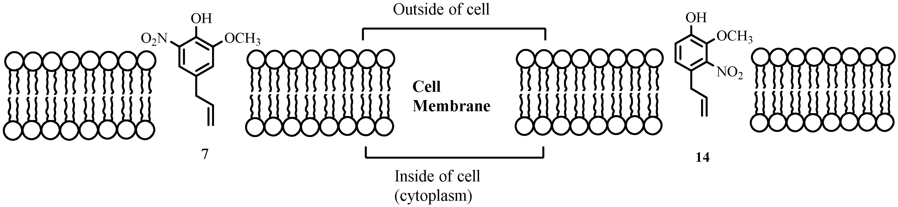 Molecules 24 01239 g006 Molecules 24 01239 g006
